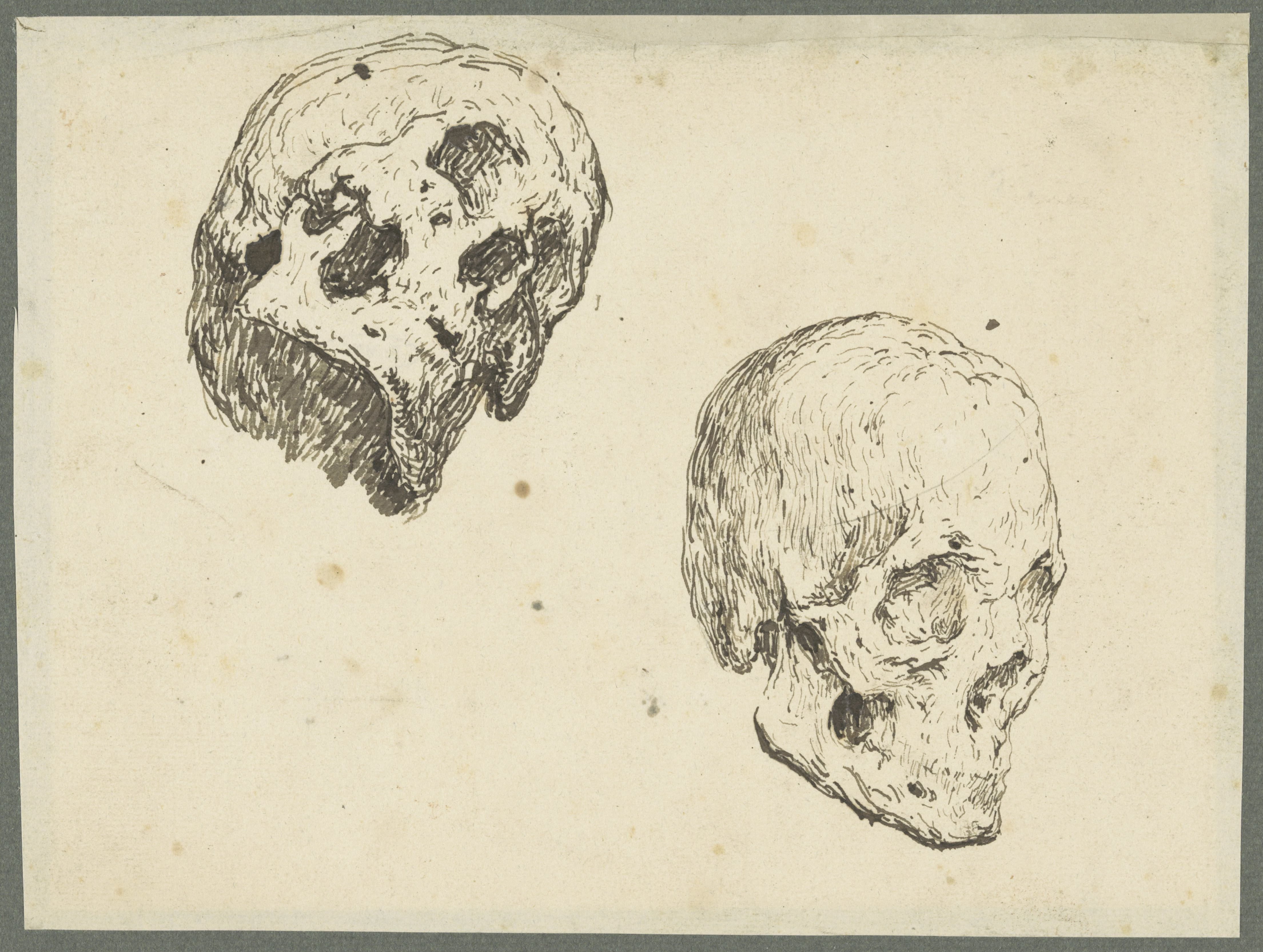 Twee studies van een schedel