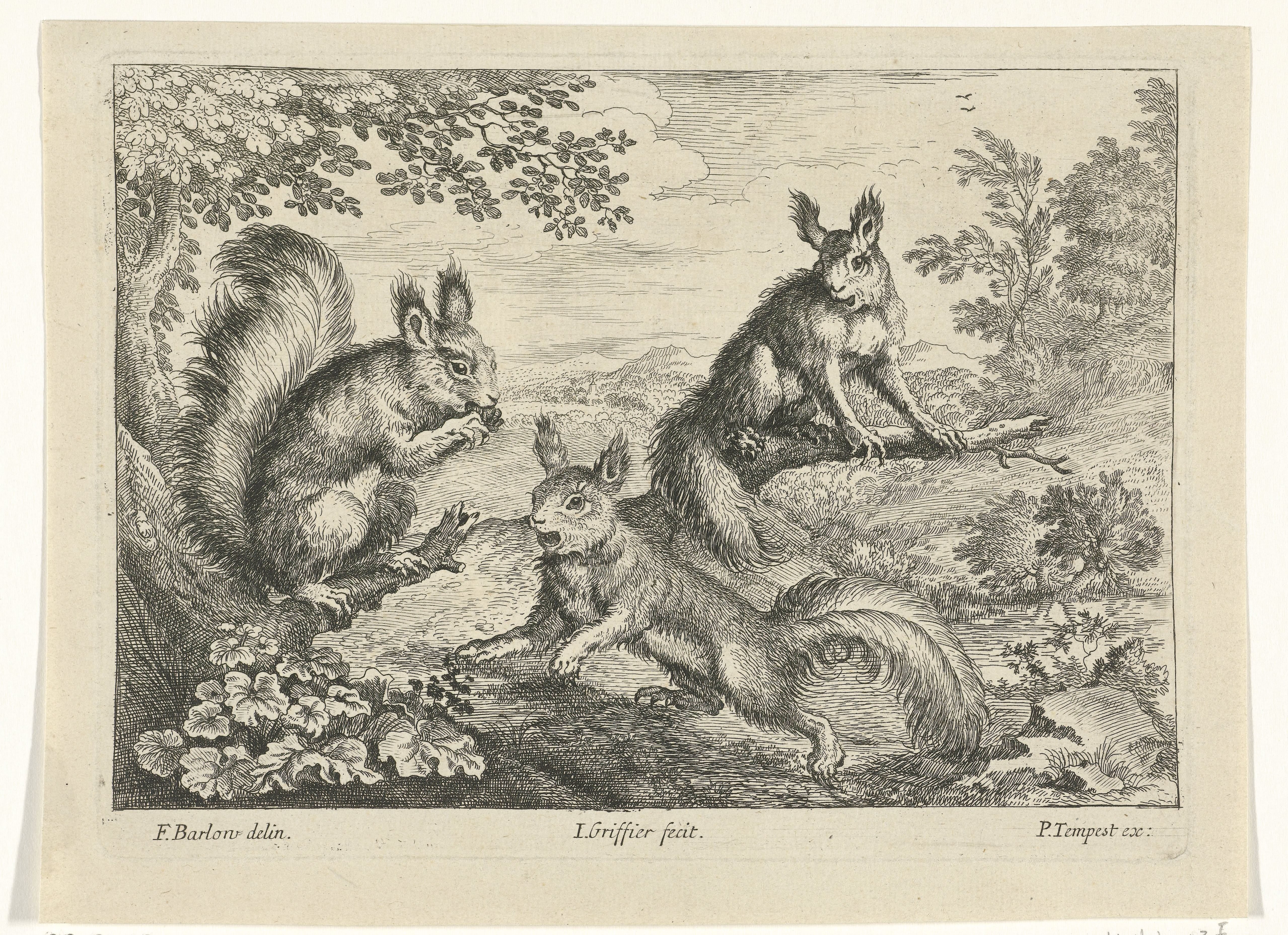 Drie eekhoorns