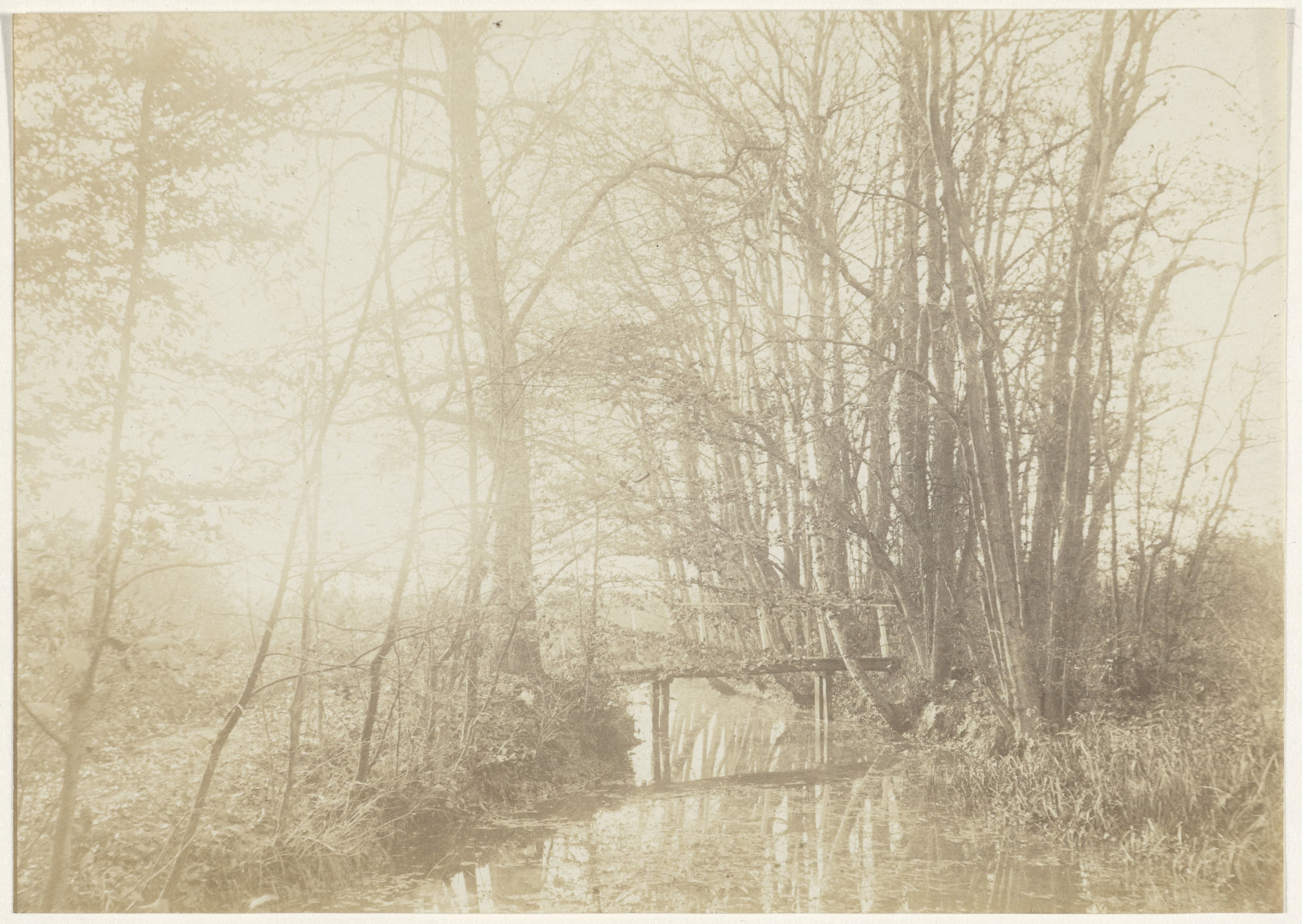 Boslandschap met beek en brug