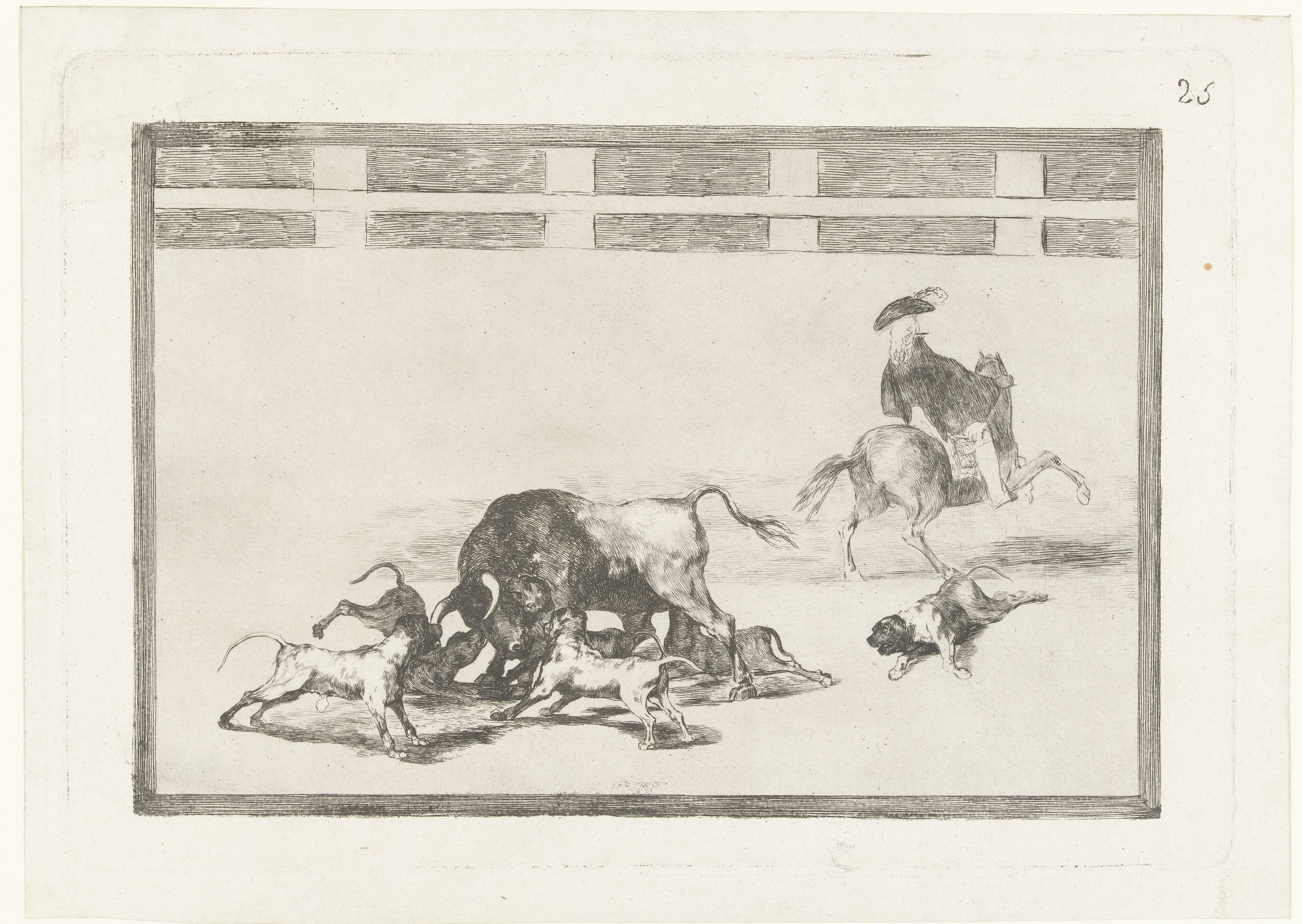 Stier aangevallen door honden