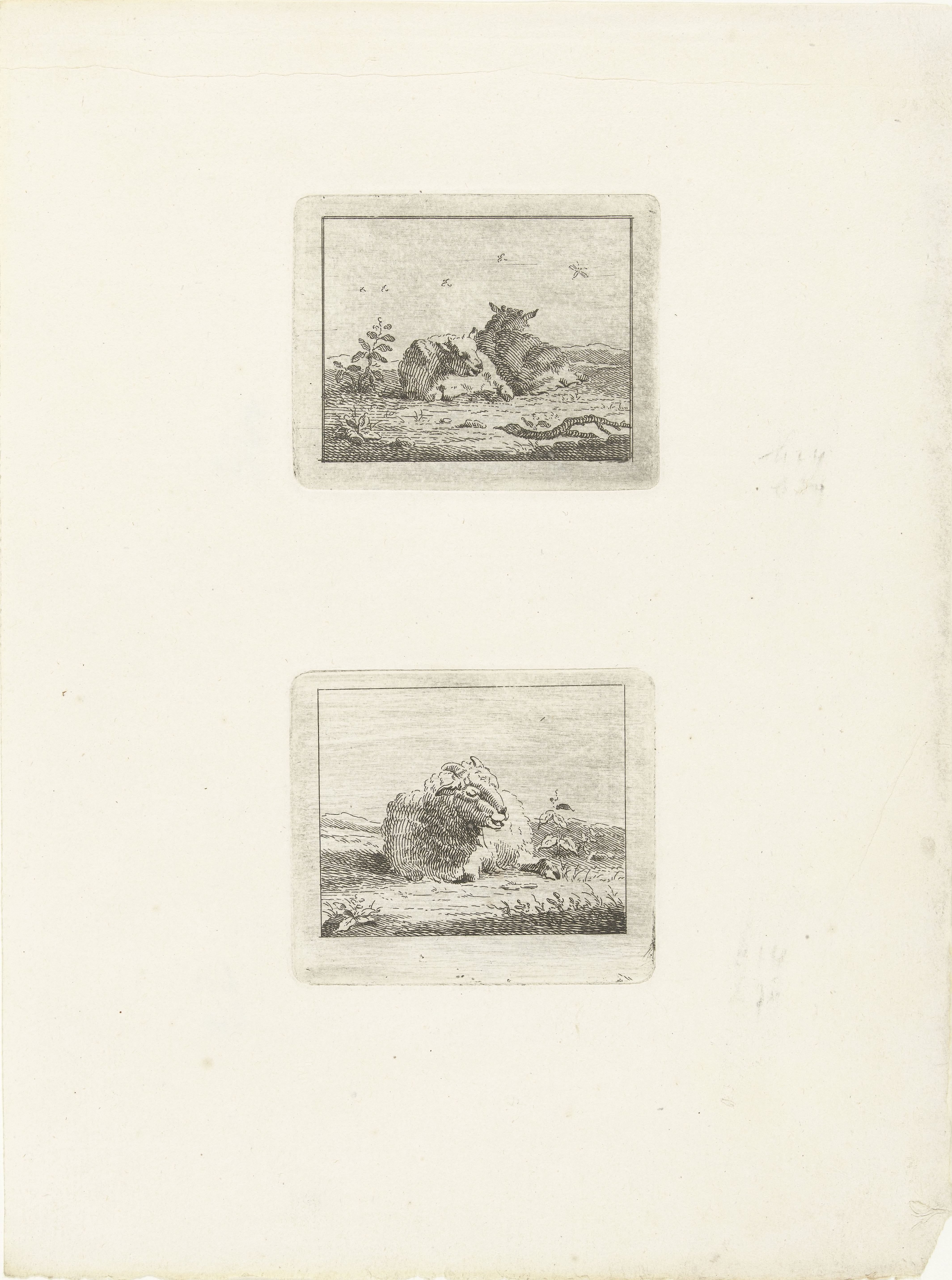 Twee voorstellingen met schapen