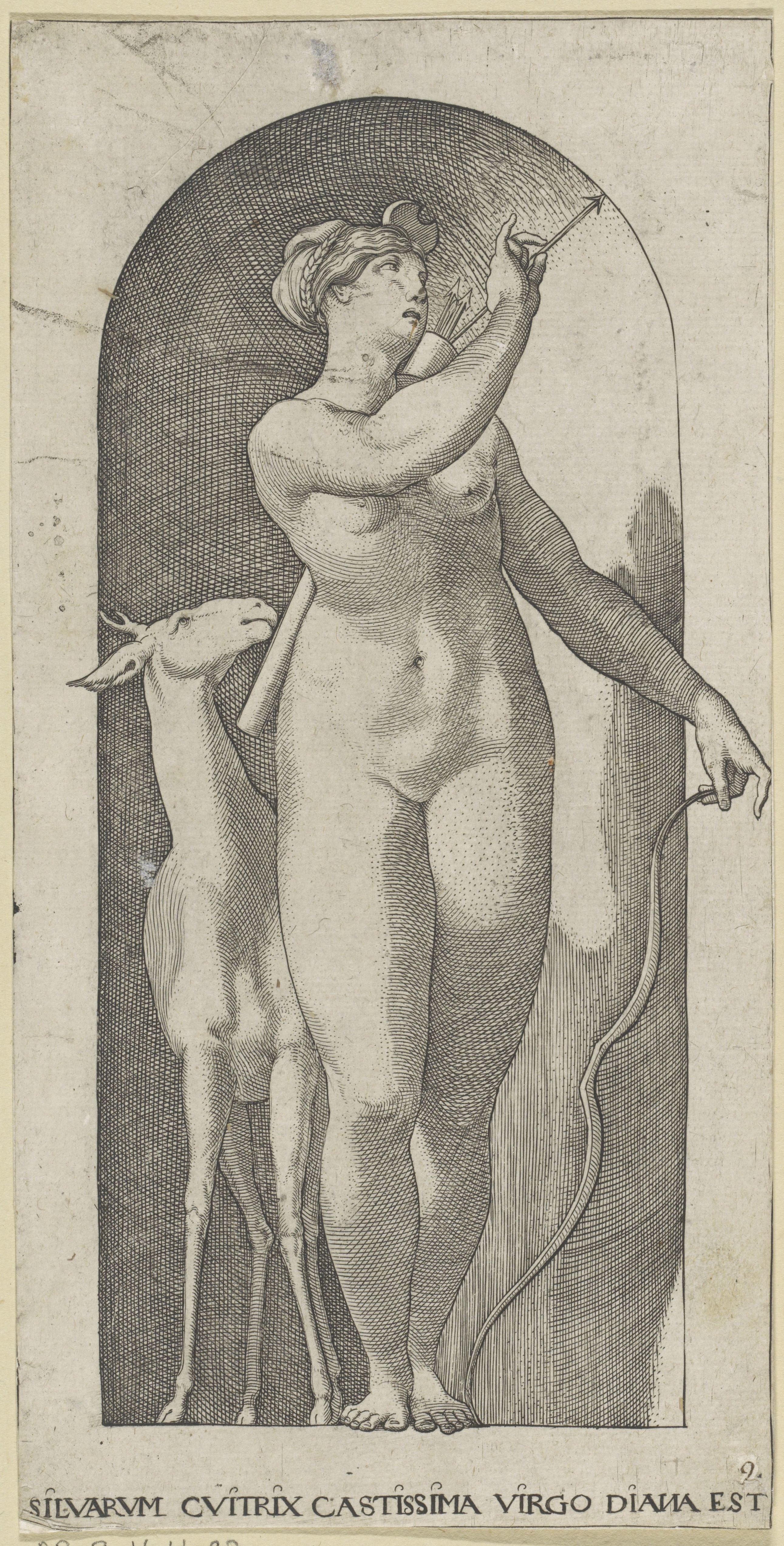 Diana