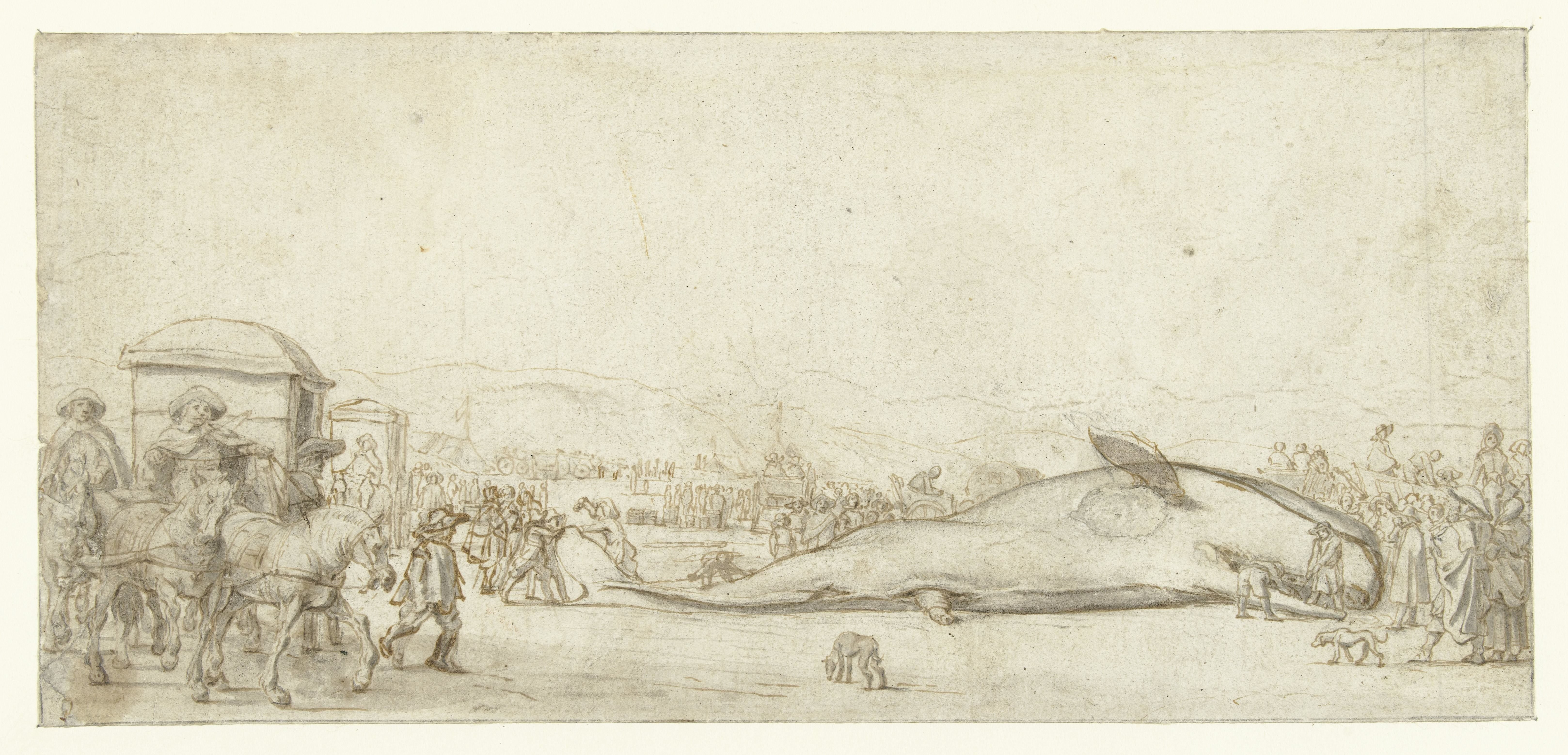 De gestrande potvis te Noordwijk in 1629