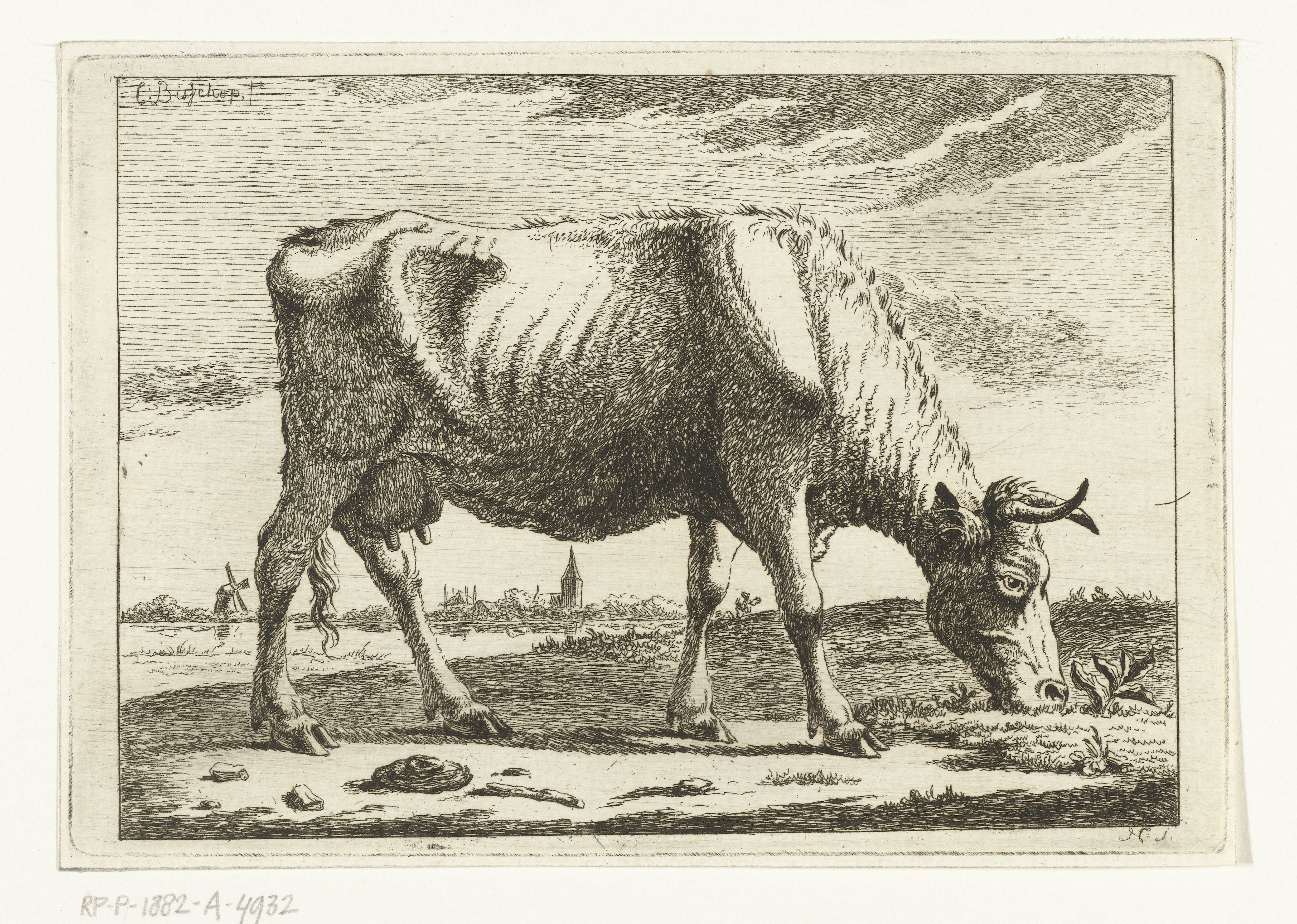 Landschap met grazende koe