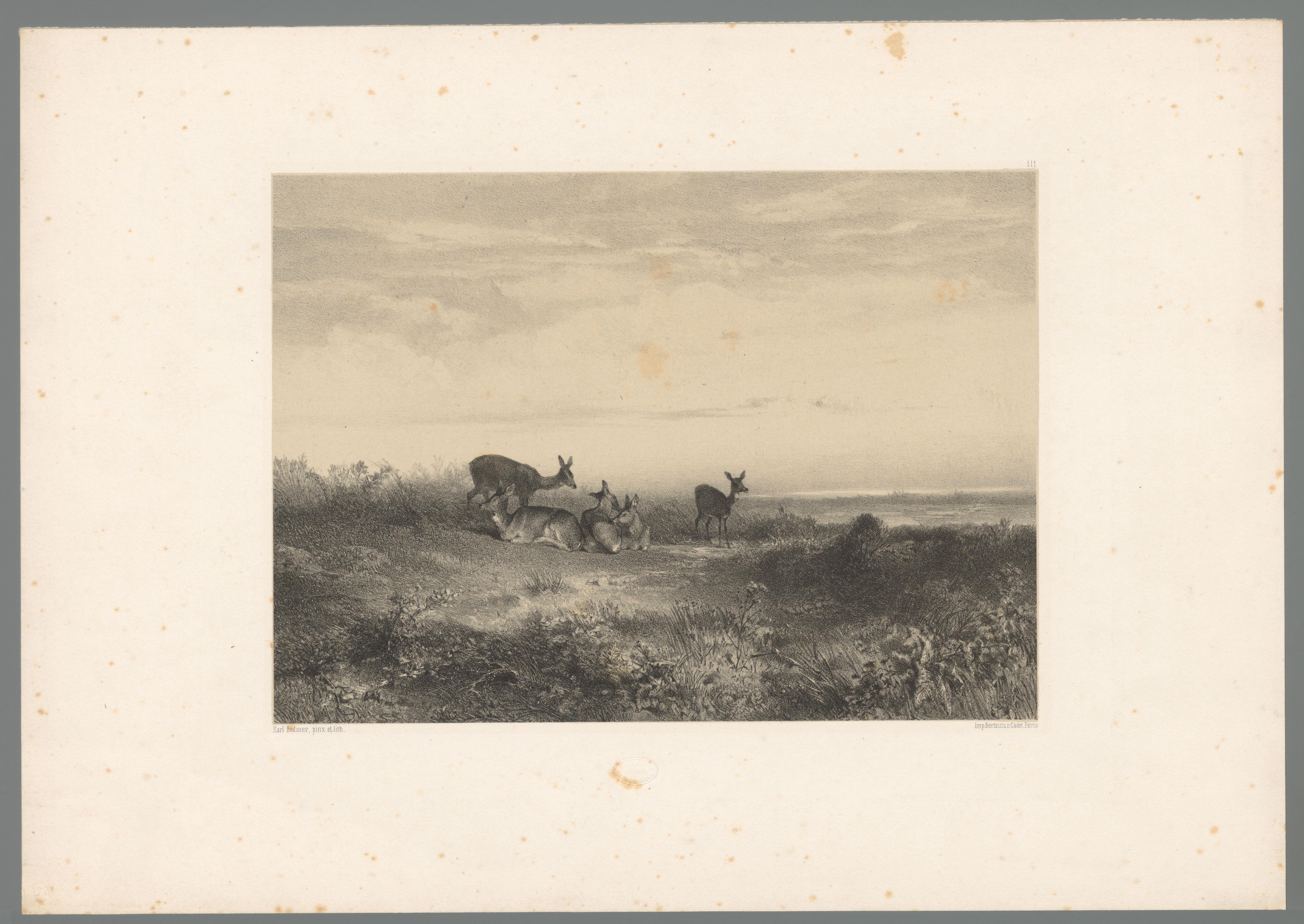 Herten in een landschap