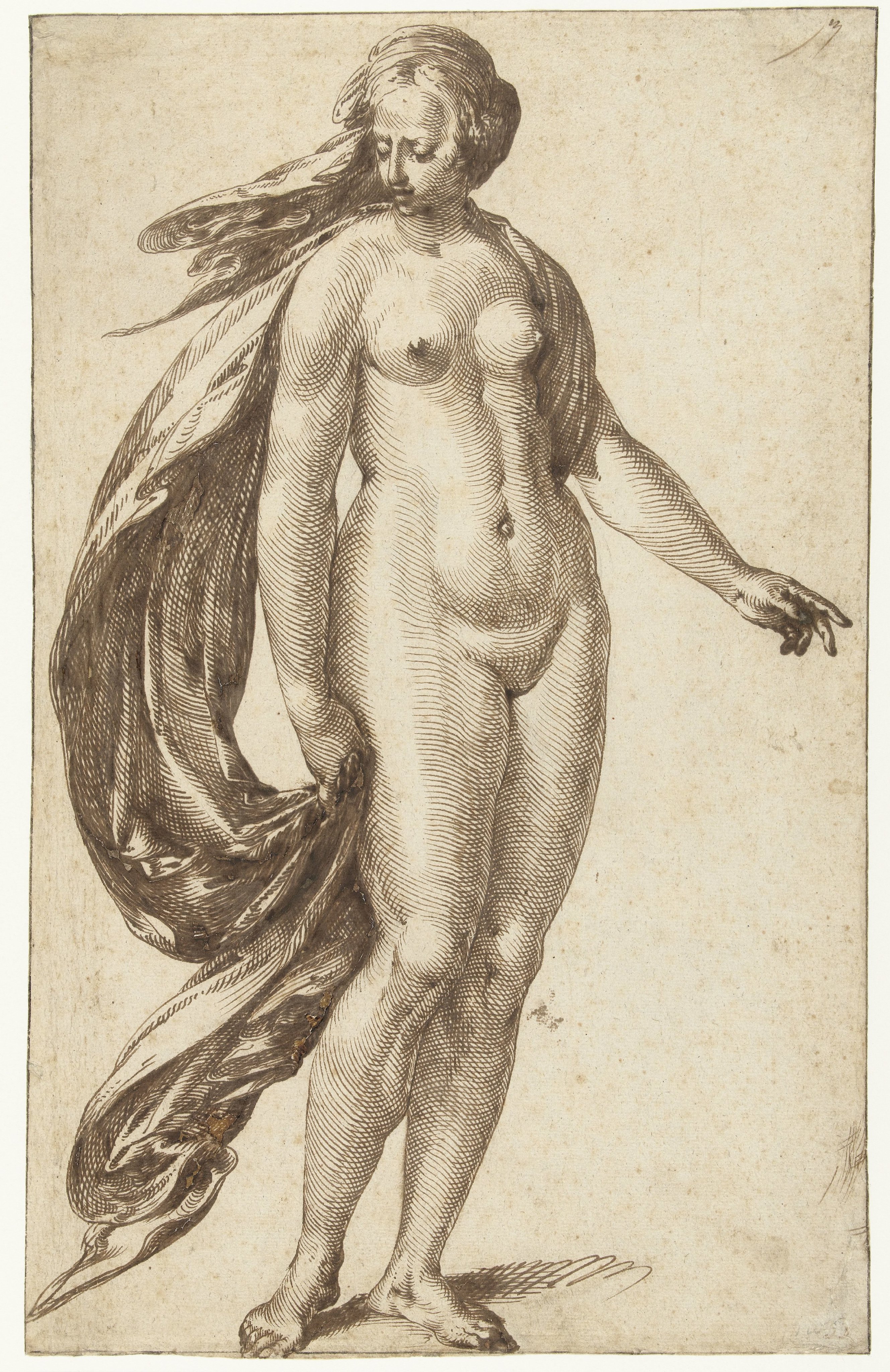 Standing Female Nude