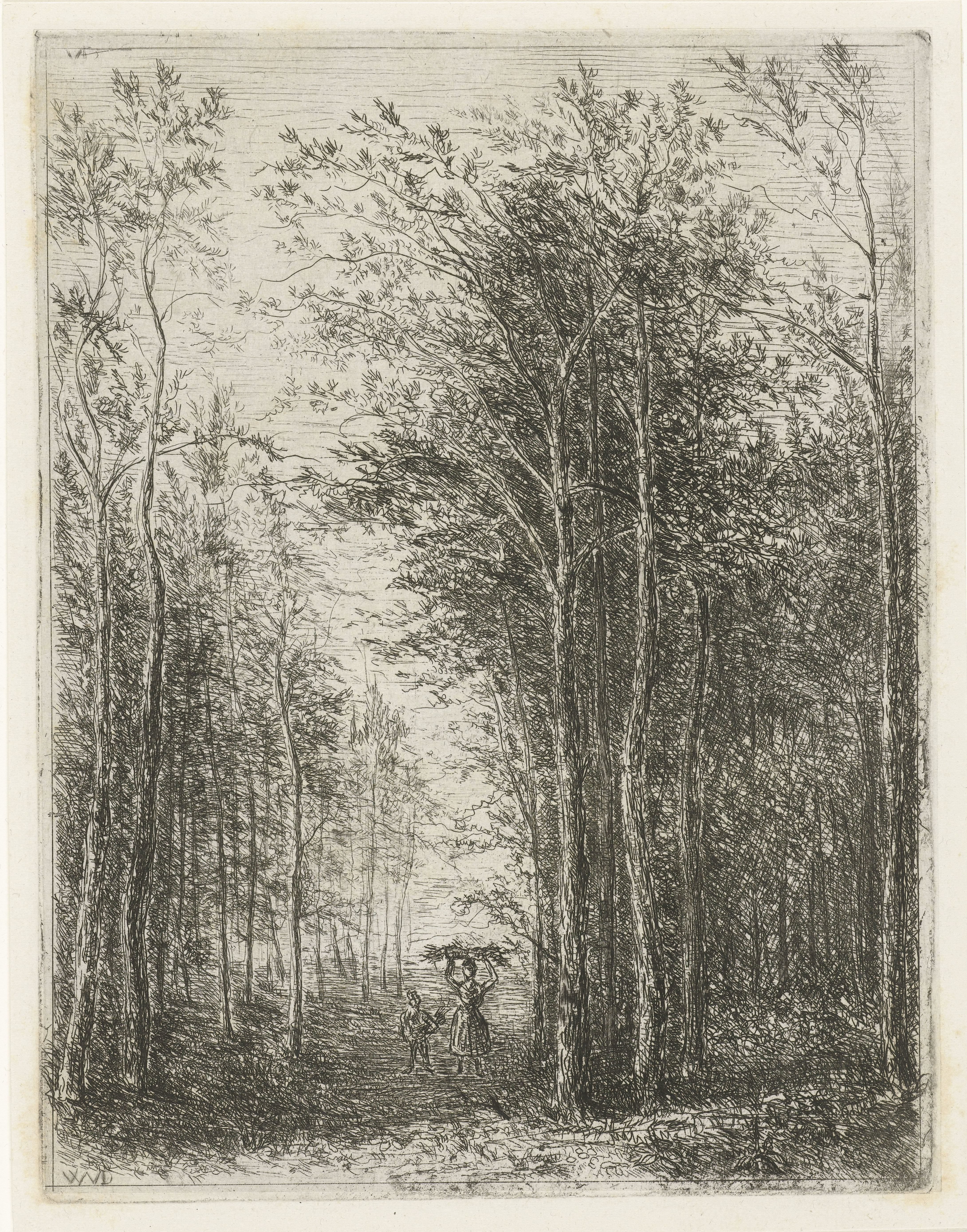 Boslandschap met houtsprokkelaars