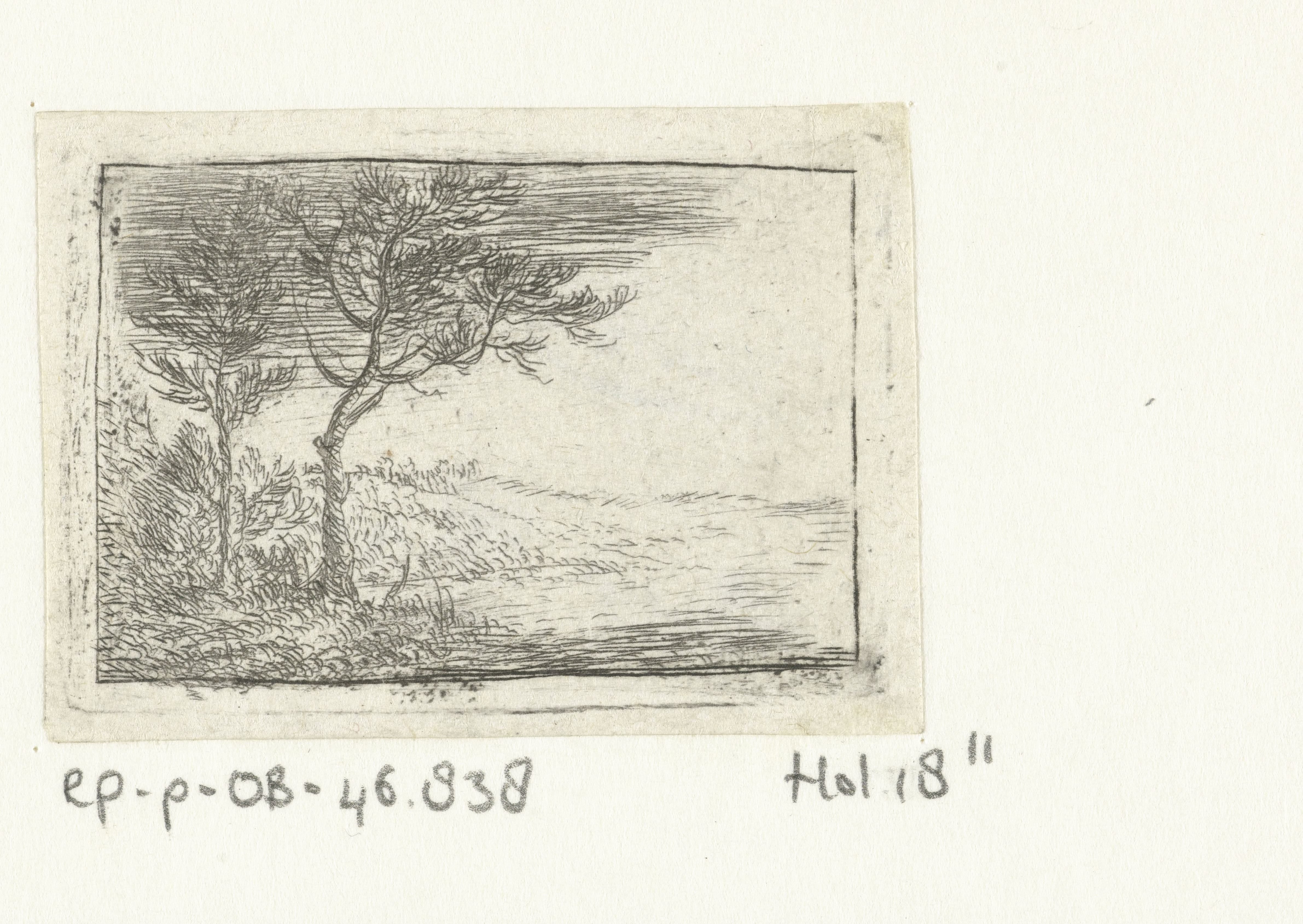 Landschap twee bomen