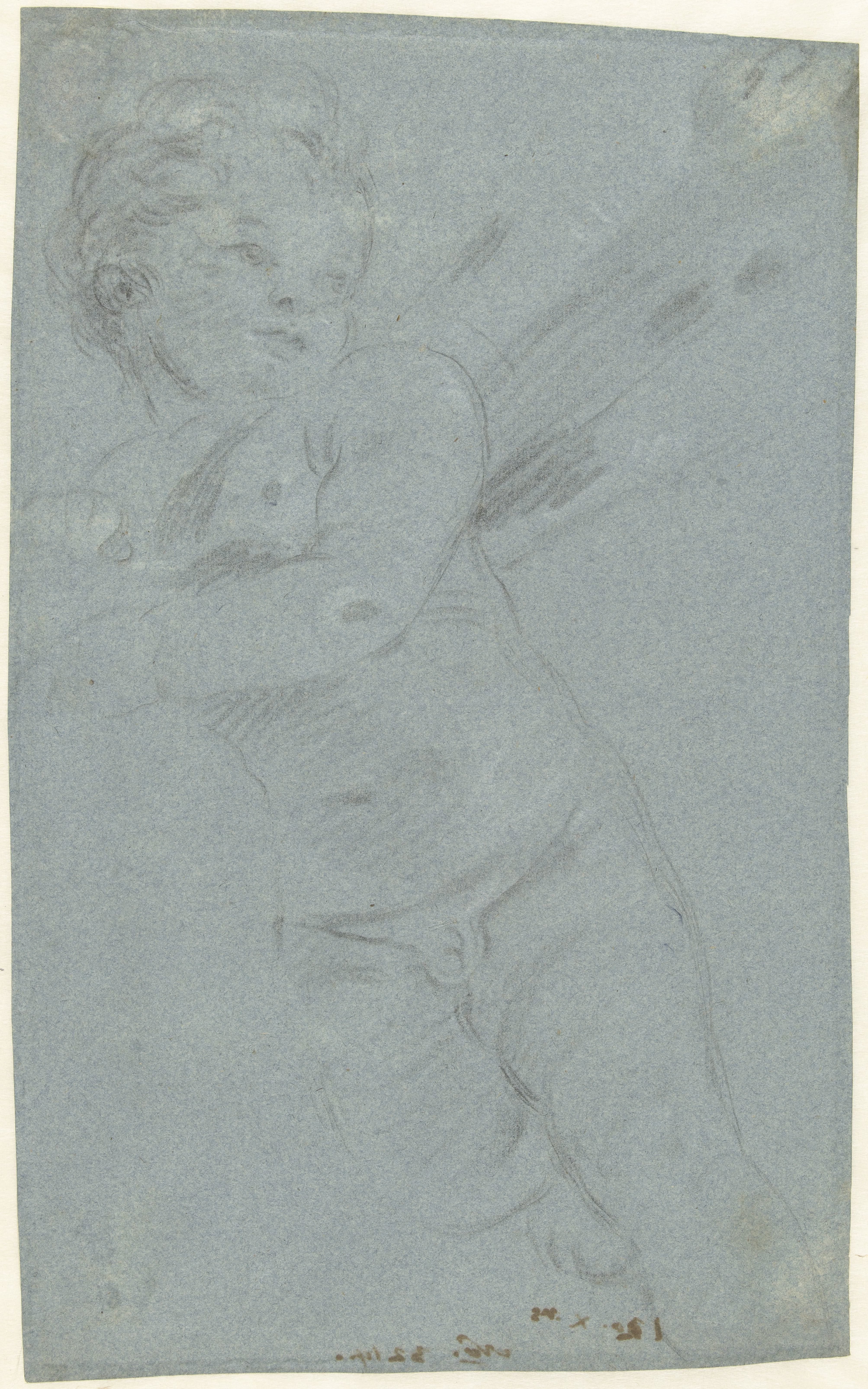 Putto