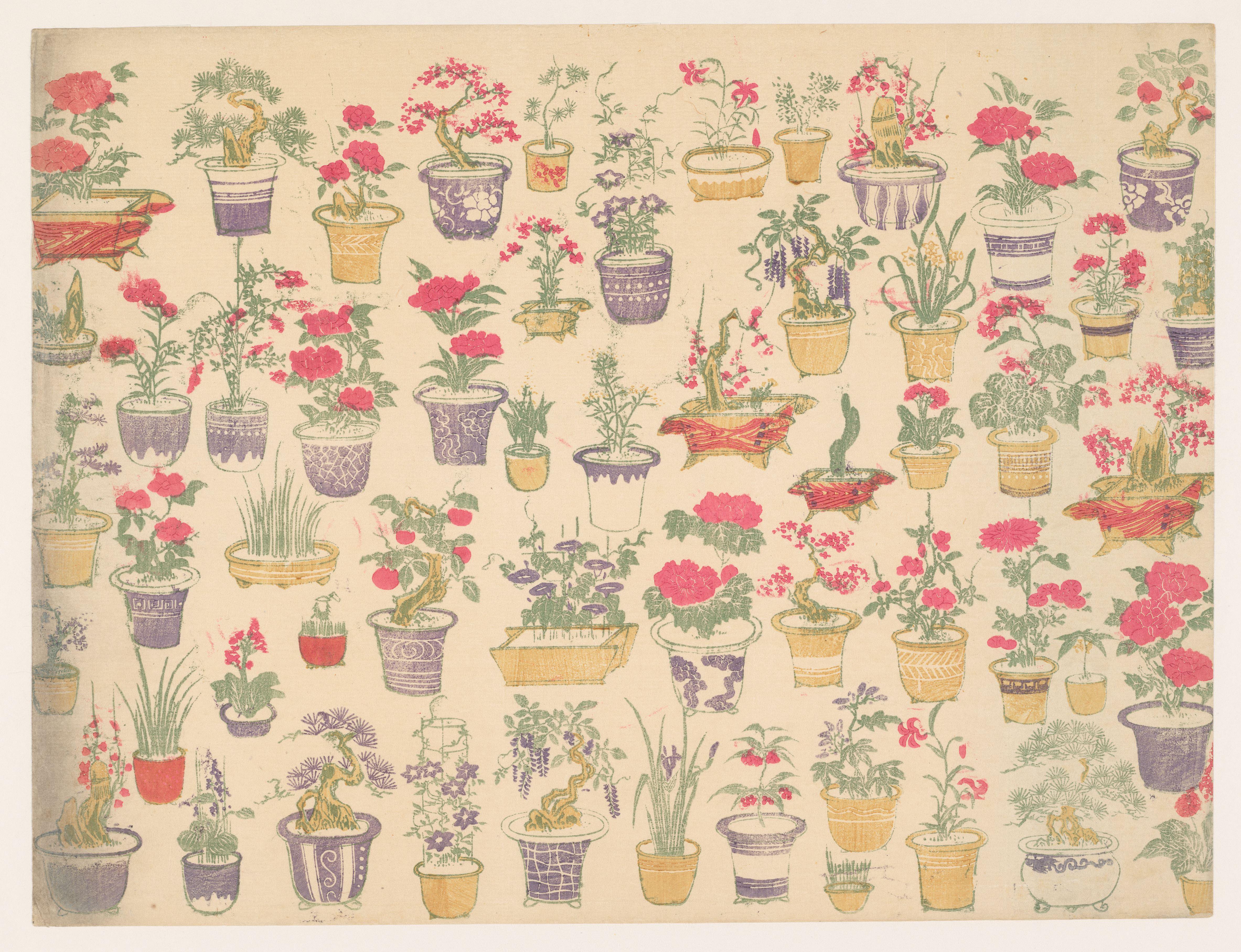 Patroon van potten met verschillende planten