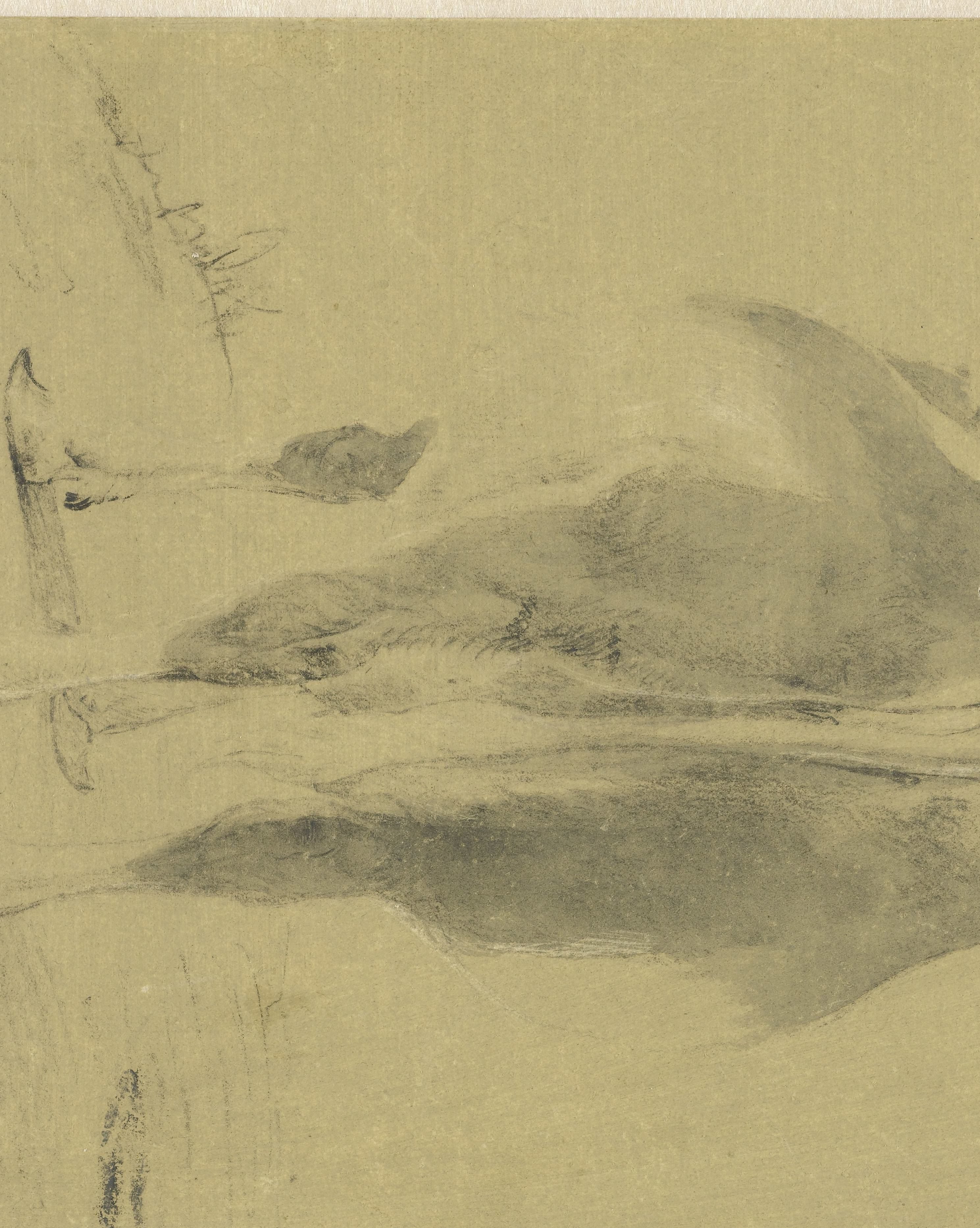 Standing Cow, Seen from Behind