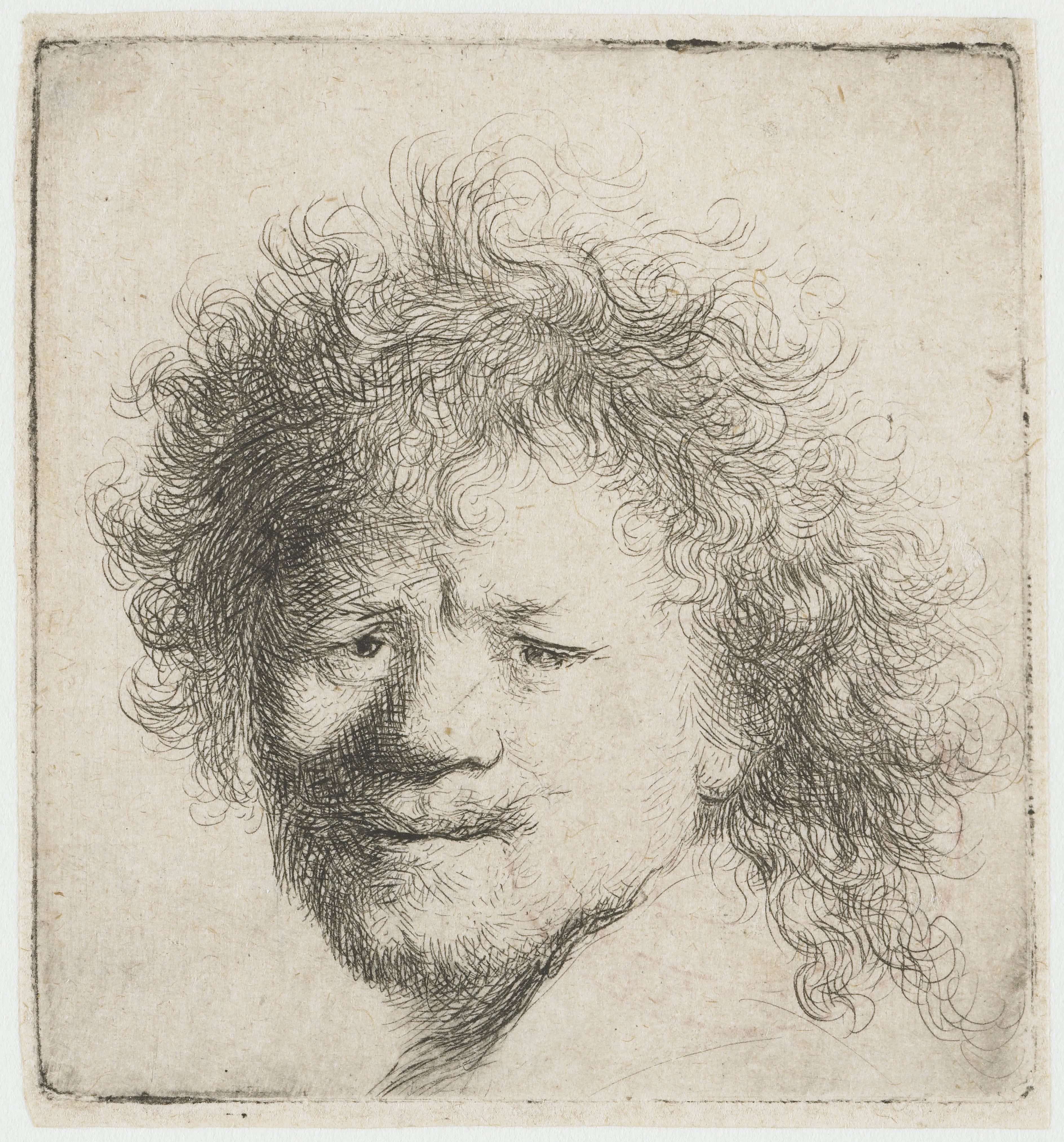 Self-portrait with long bushy hair: head only