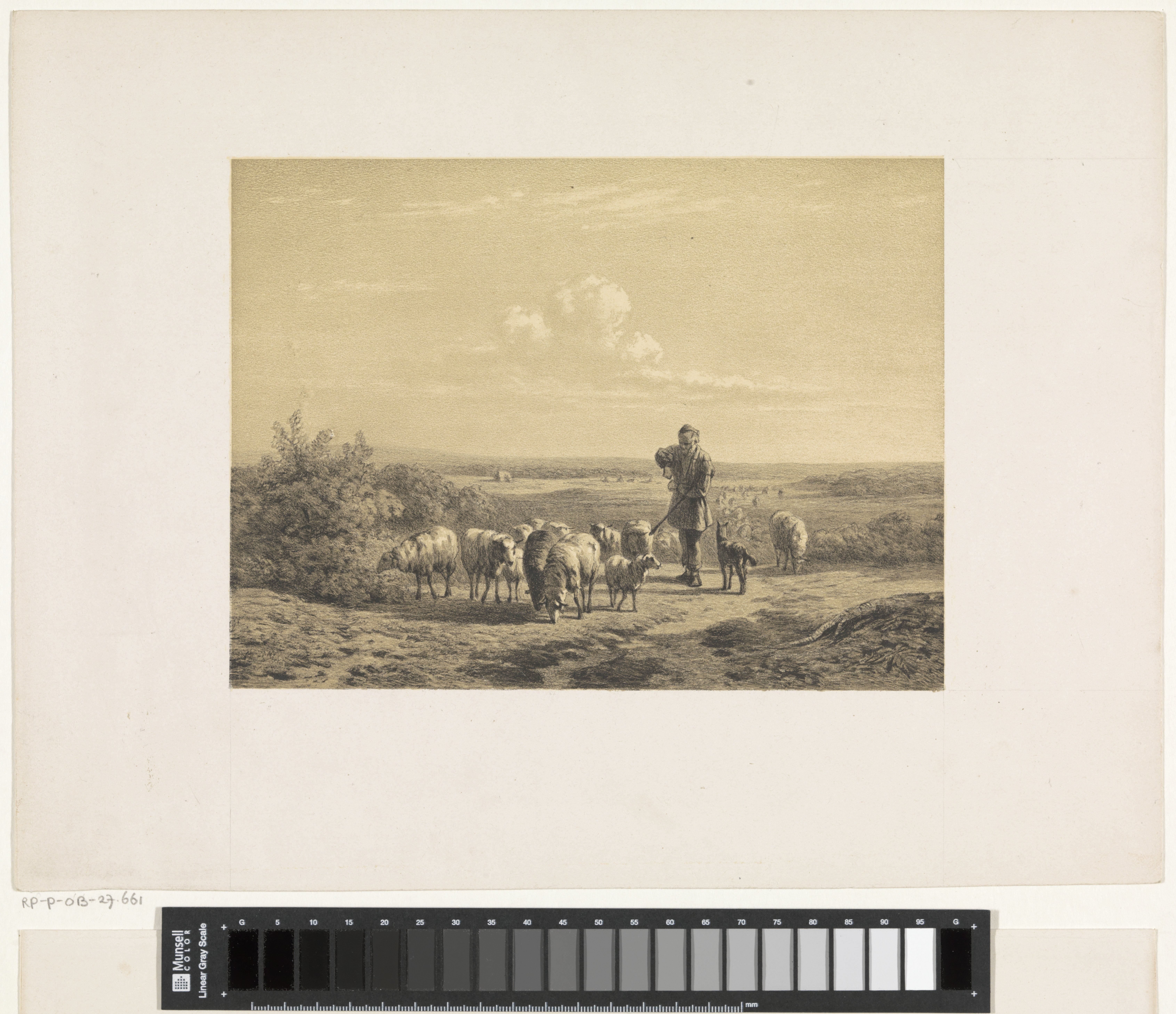 Herder met zijn schapen op de hei