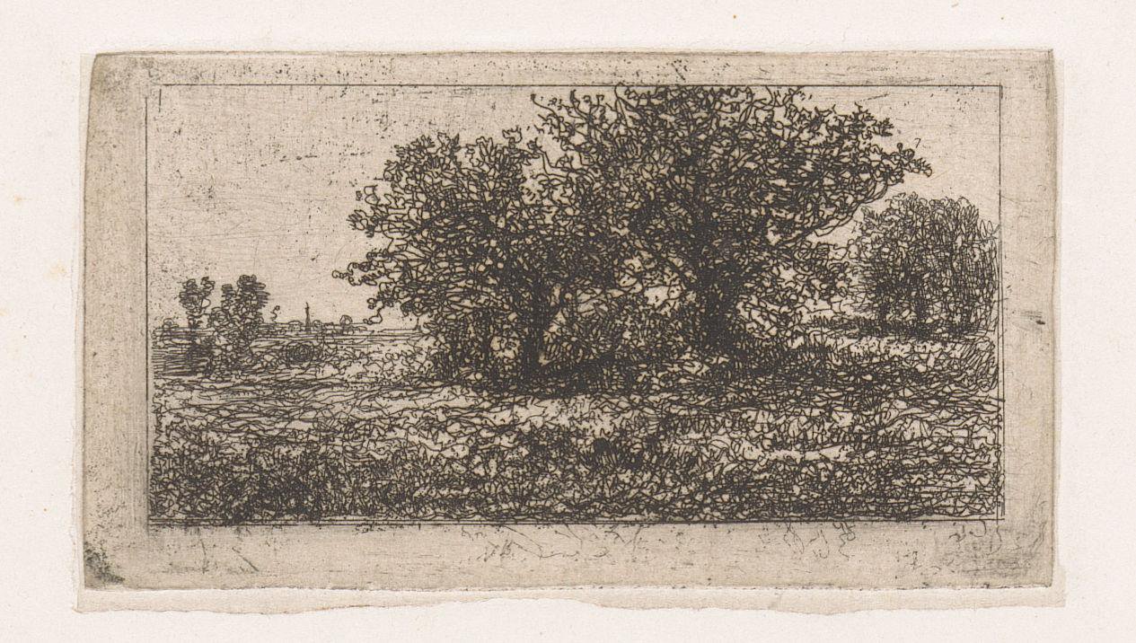 Bomen op een vlakte