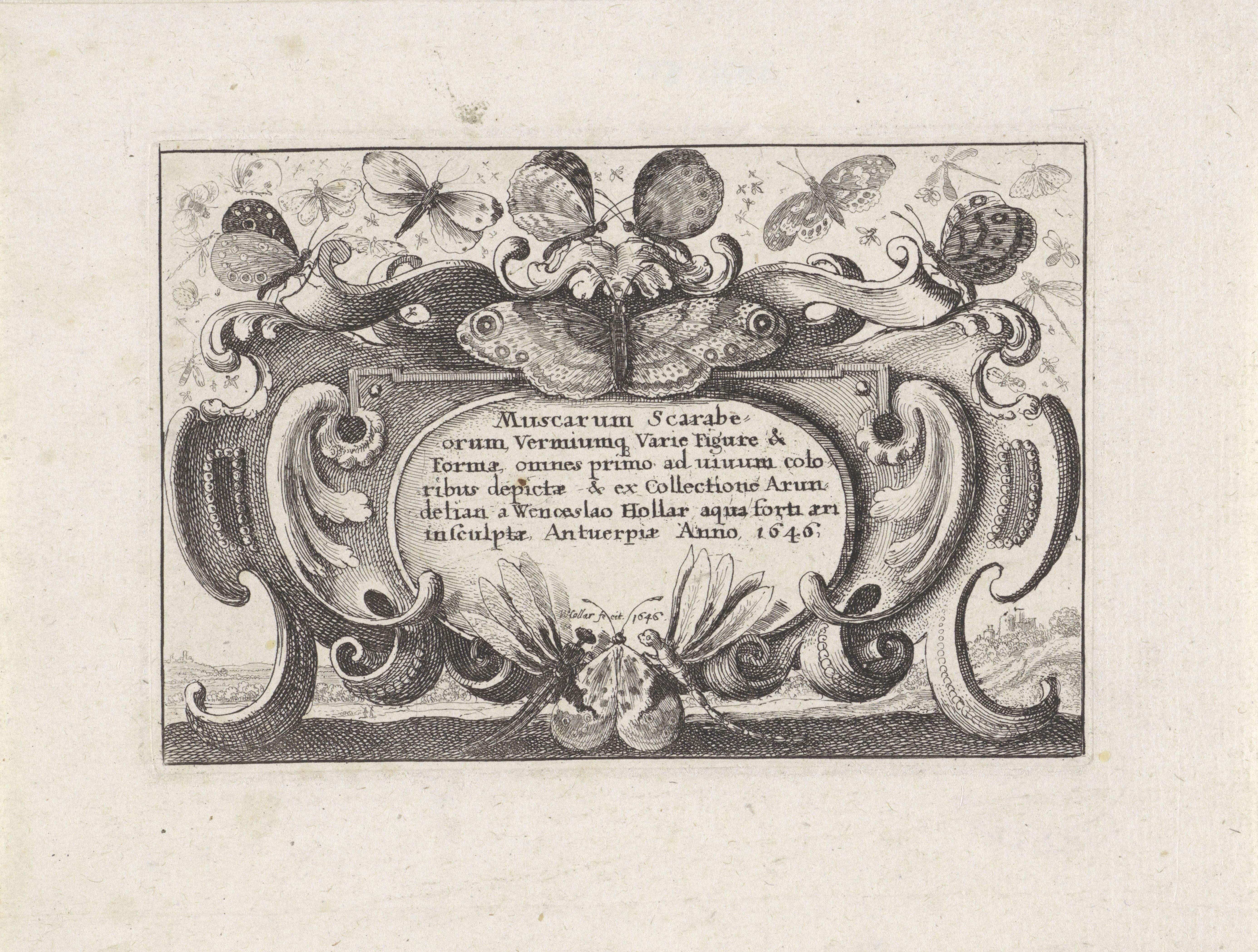 Titelprent in cartouche voor een serie met verschillende insecten