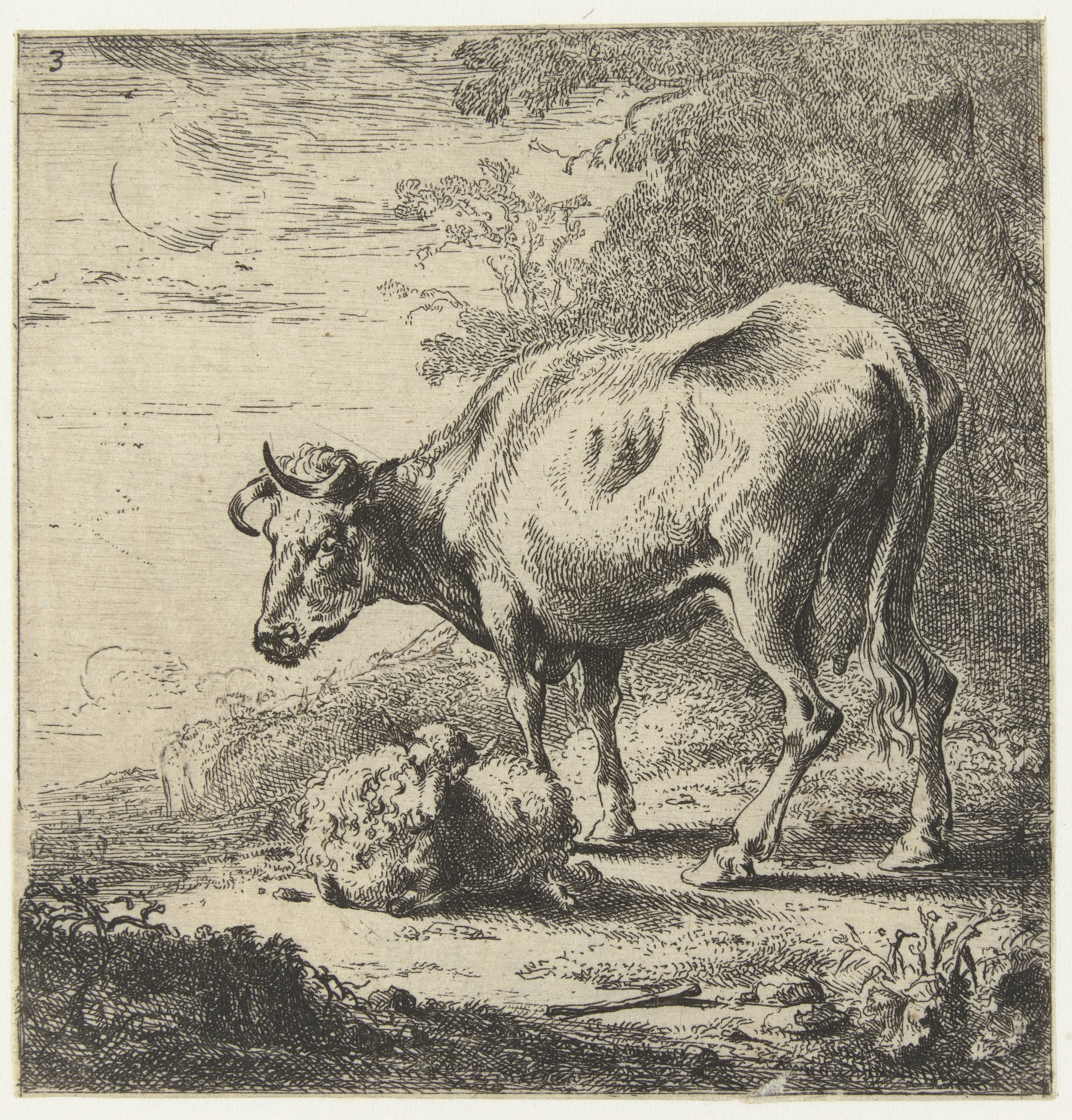 Koe en schaap