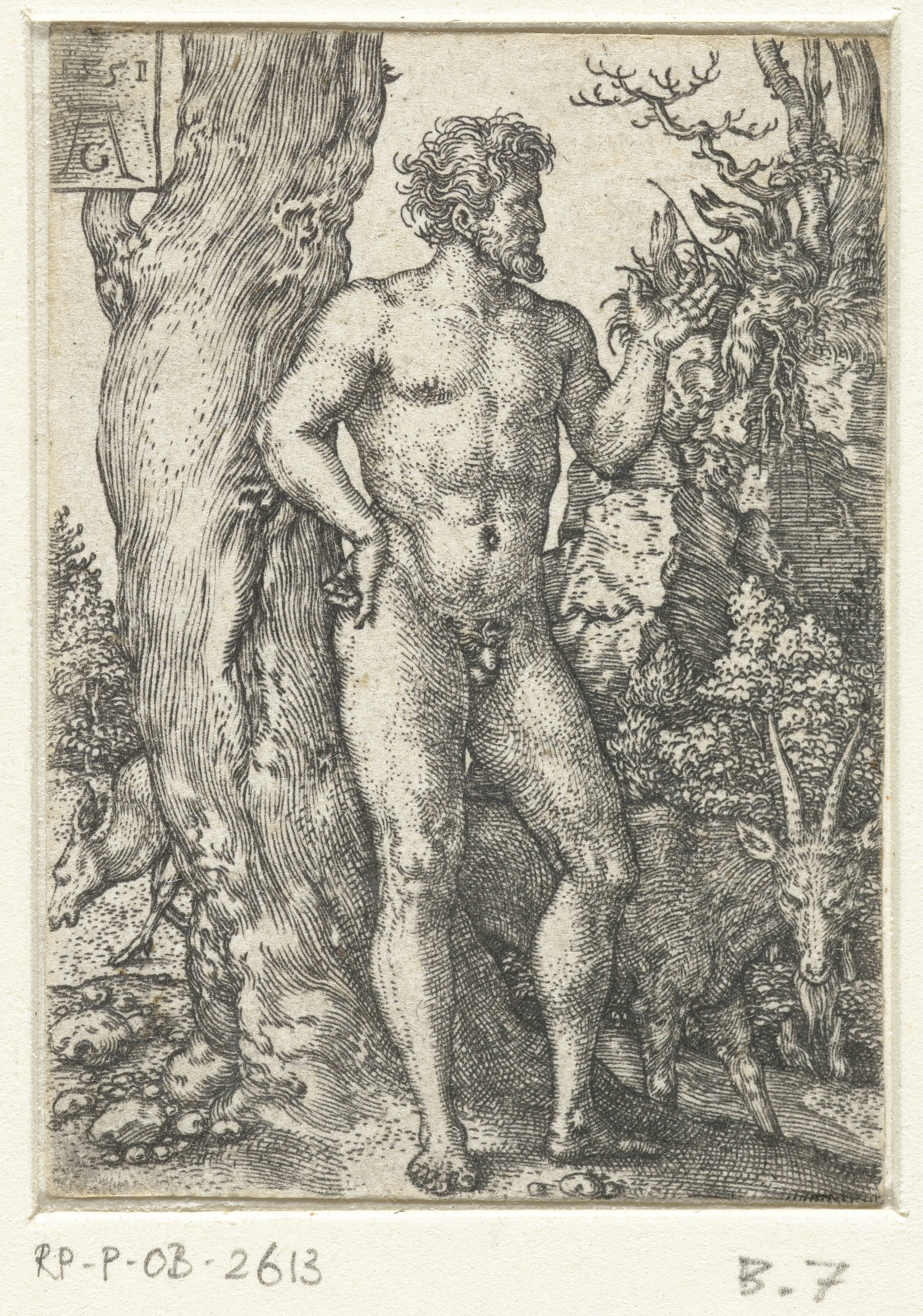 Adam