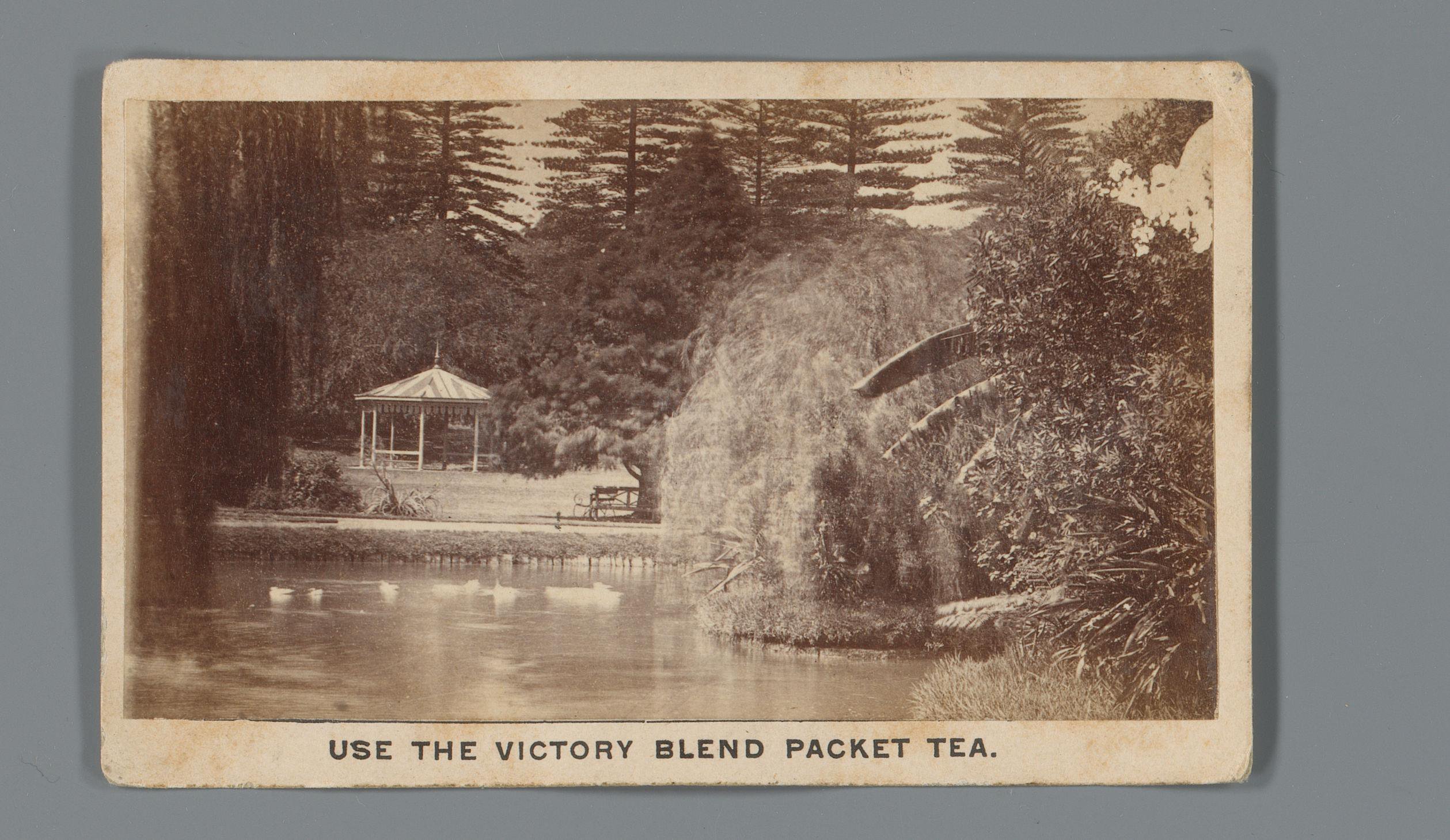 Gezicht op een botanische tuin met vijver in Sydney als reclame voor thee