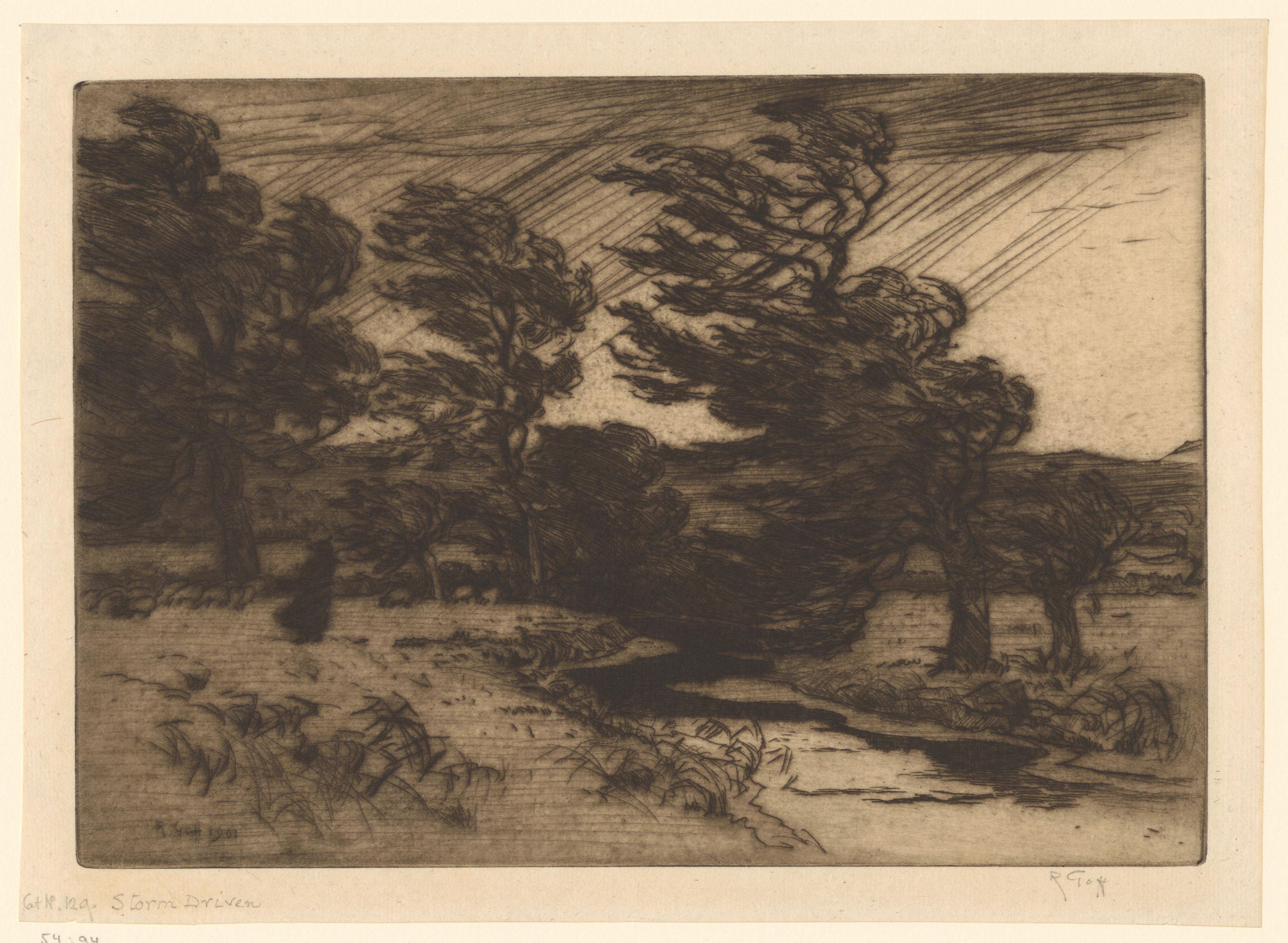 Landschap met bomen en beek in een storm