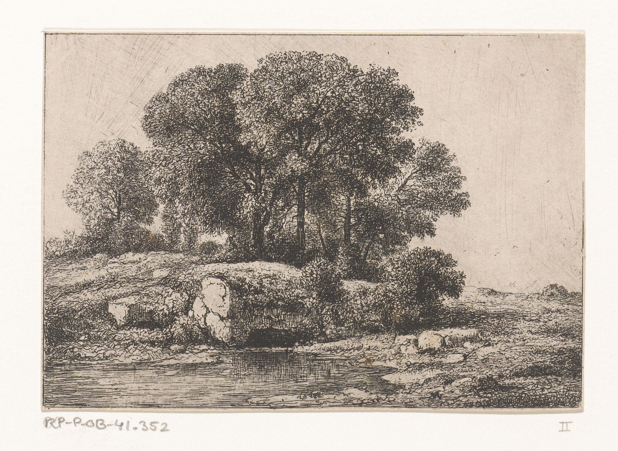 Bomen bij een poel