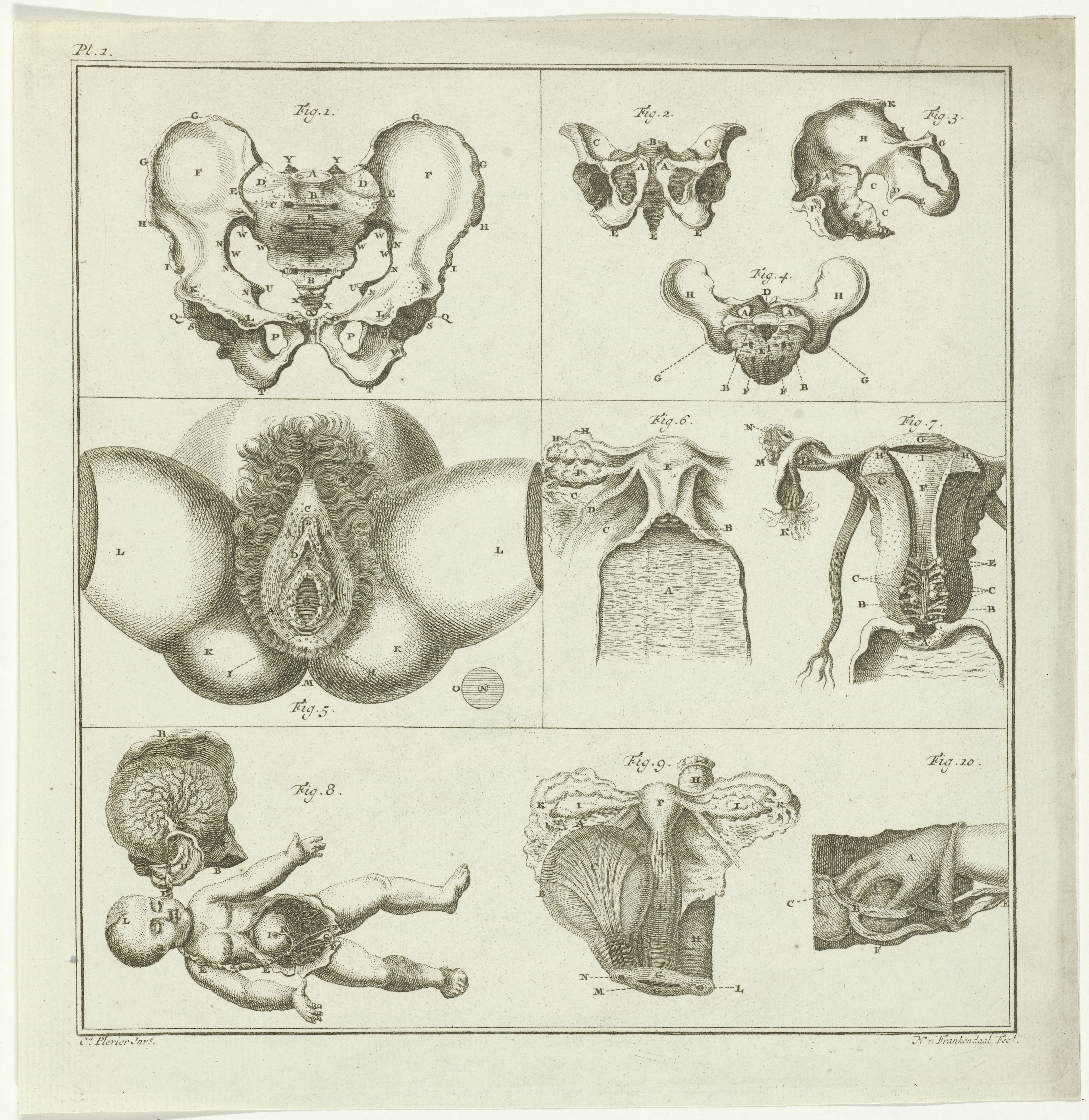 Gynaecologische voorstellingen