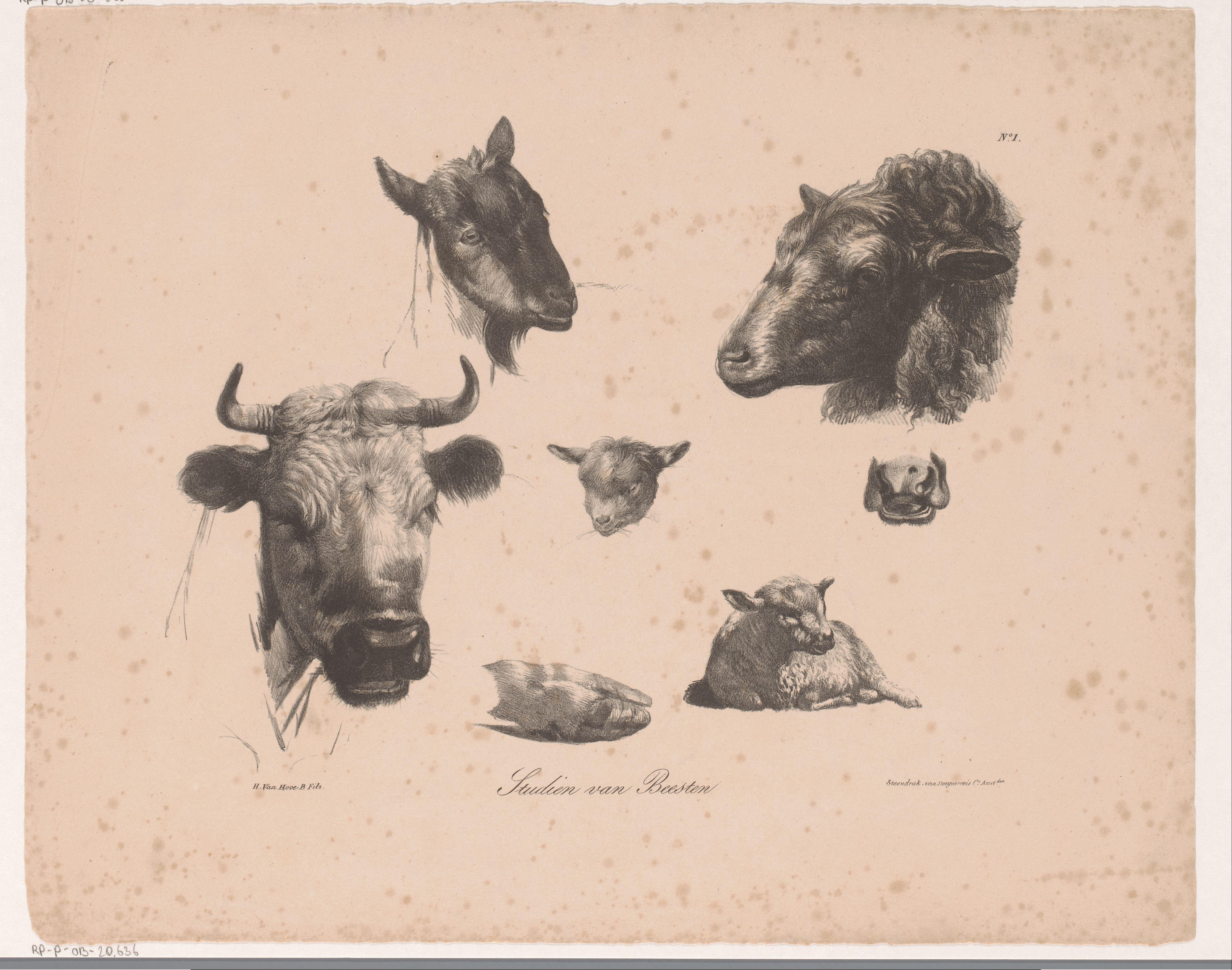Dierenkoppen