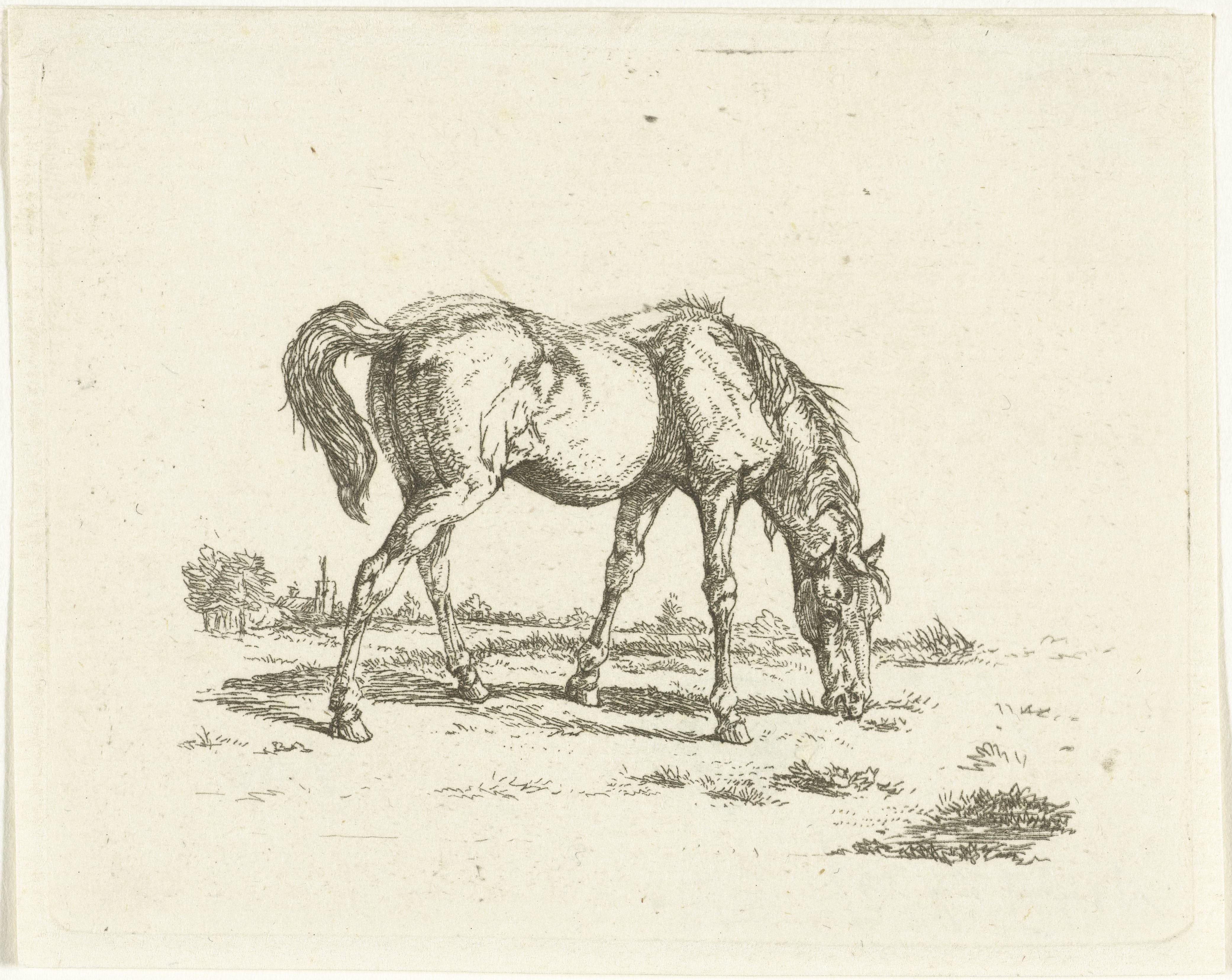 Jan Dasveldt