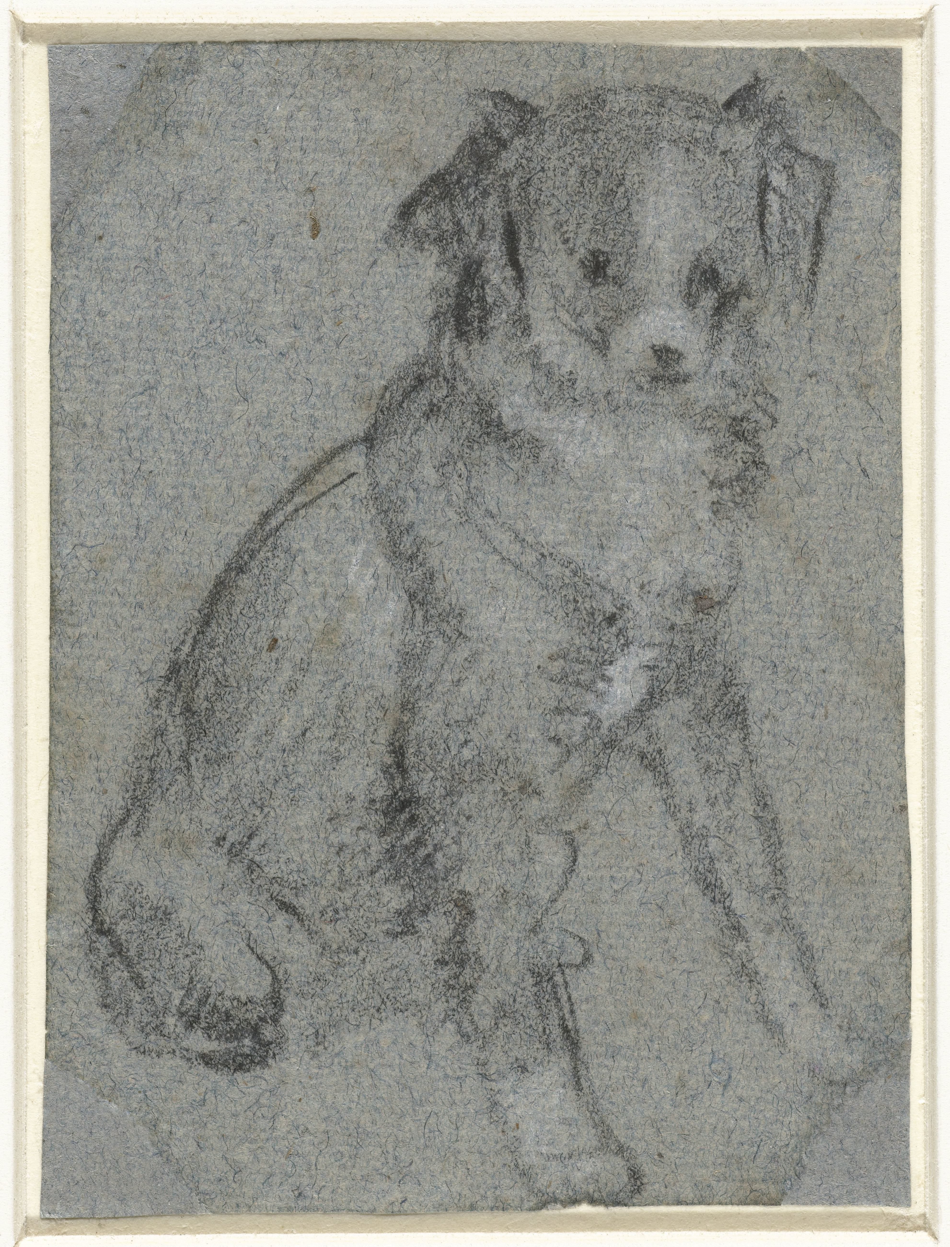 Zittend hondje