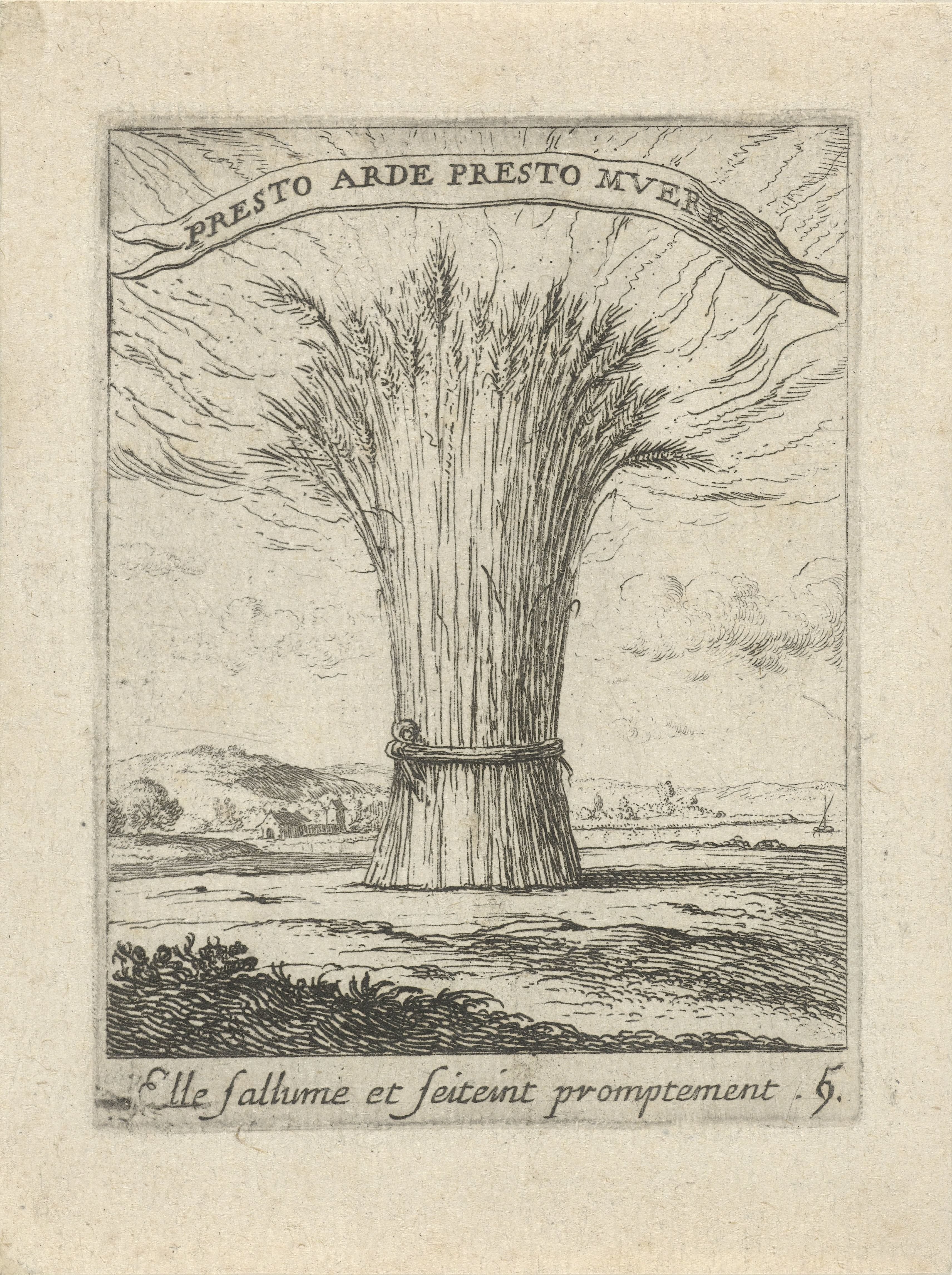 Brandende korenschoof