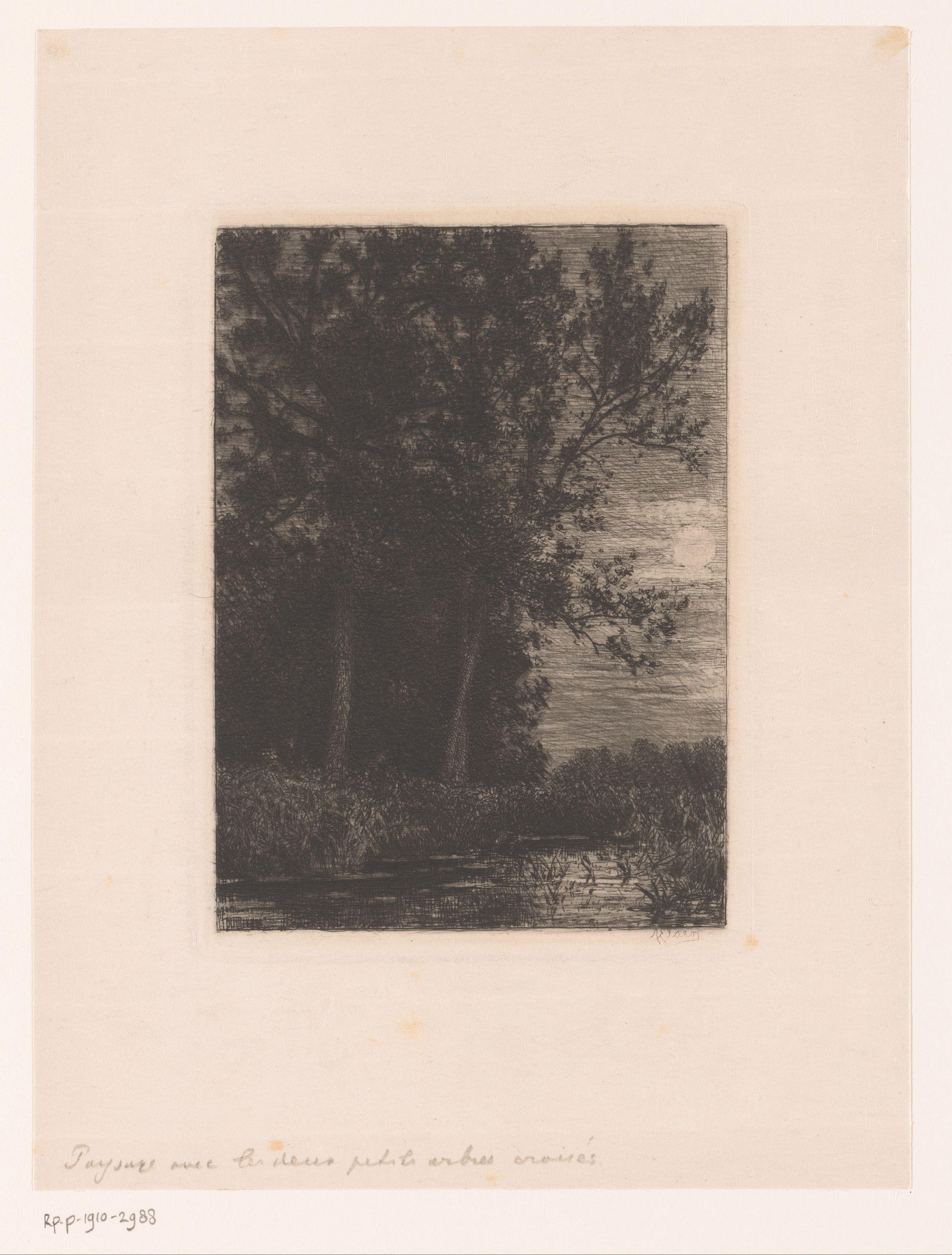 Landschap met bomen aan het water in maanlicht