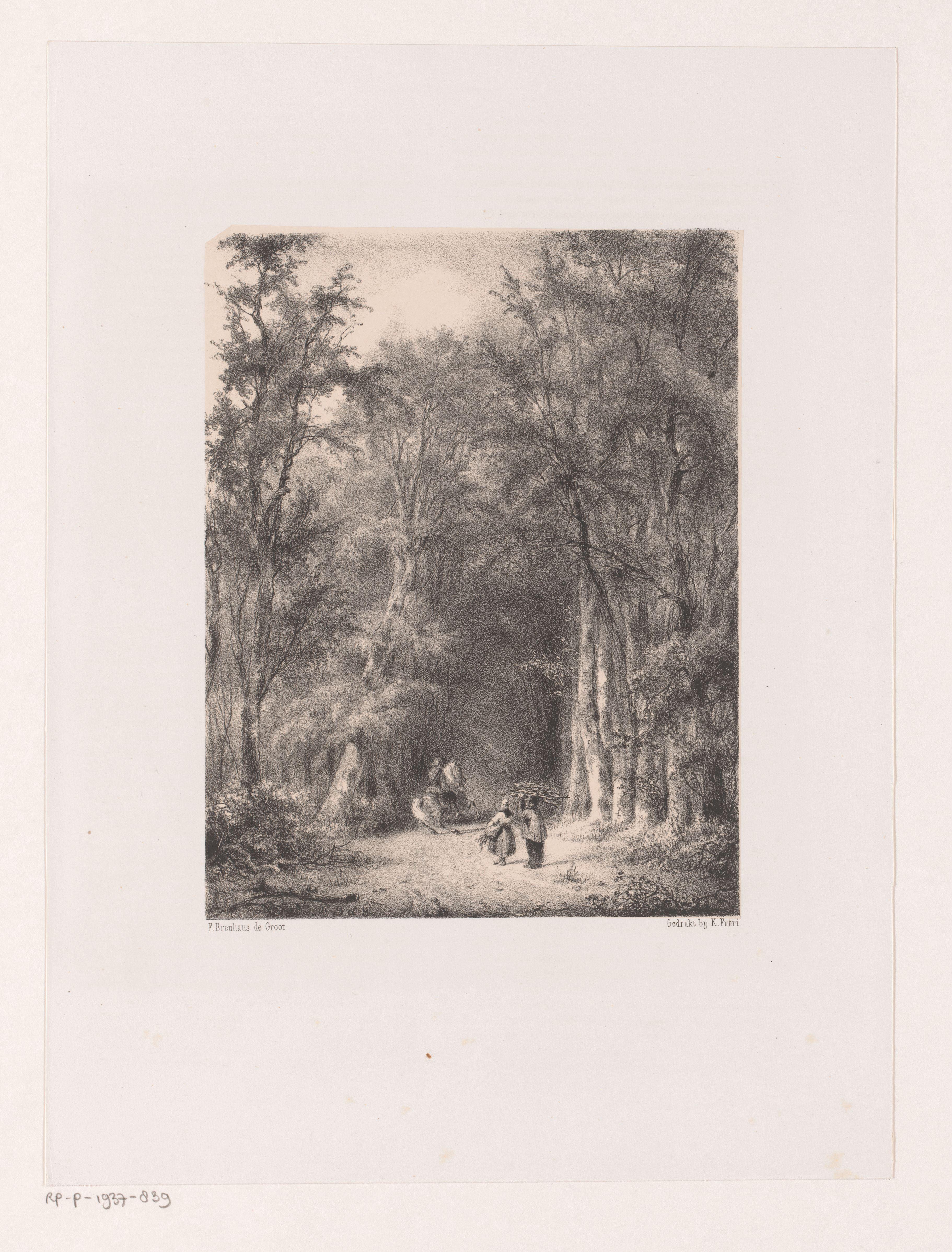 Houtsprokkelaars en ruiter in het bos