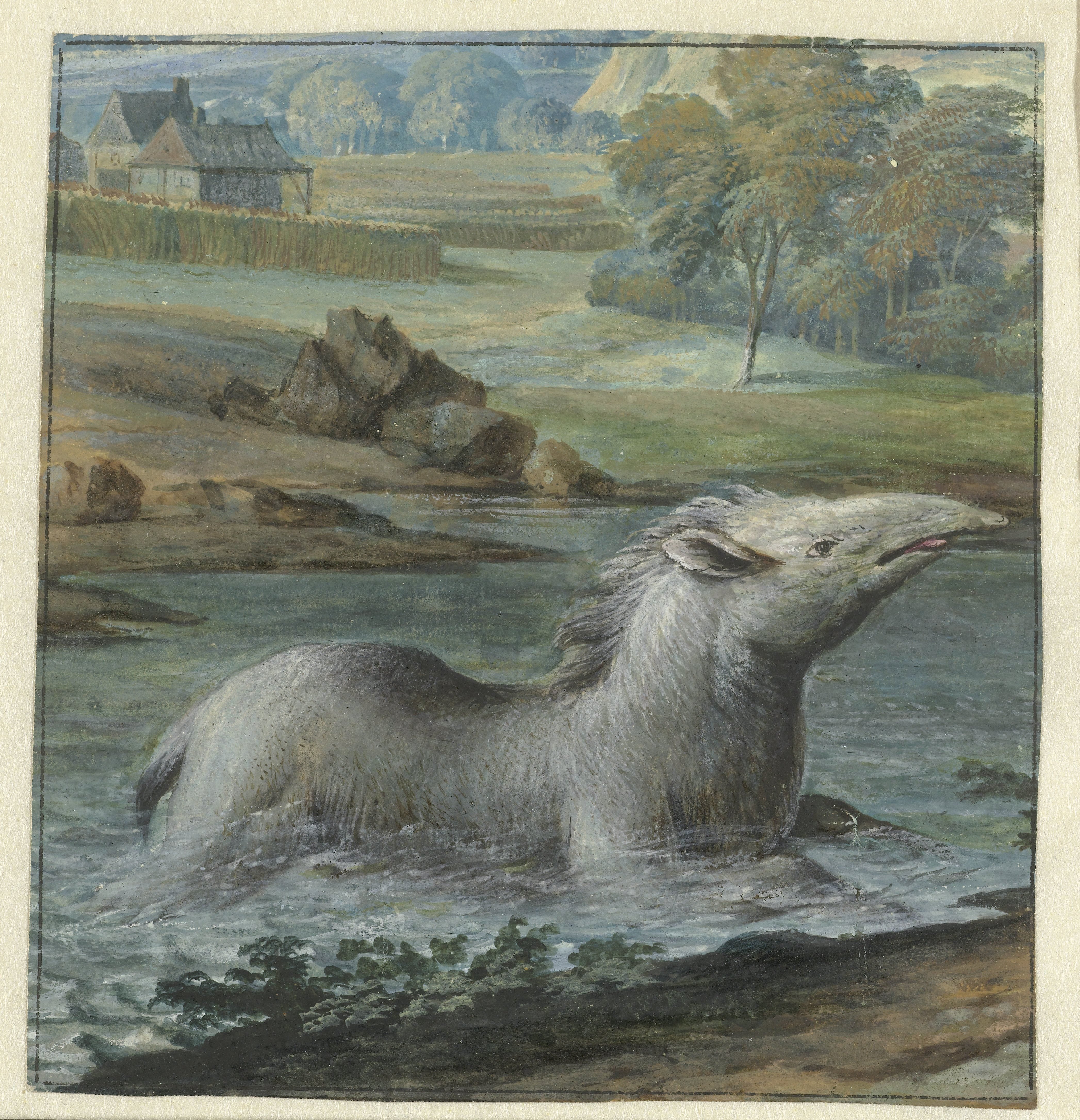 Tapir in het water