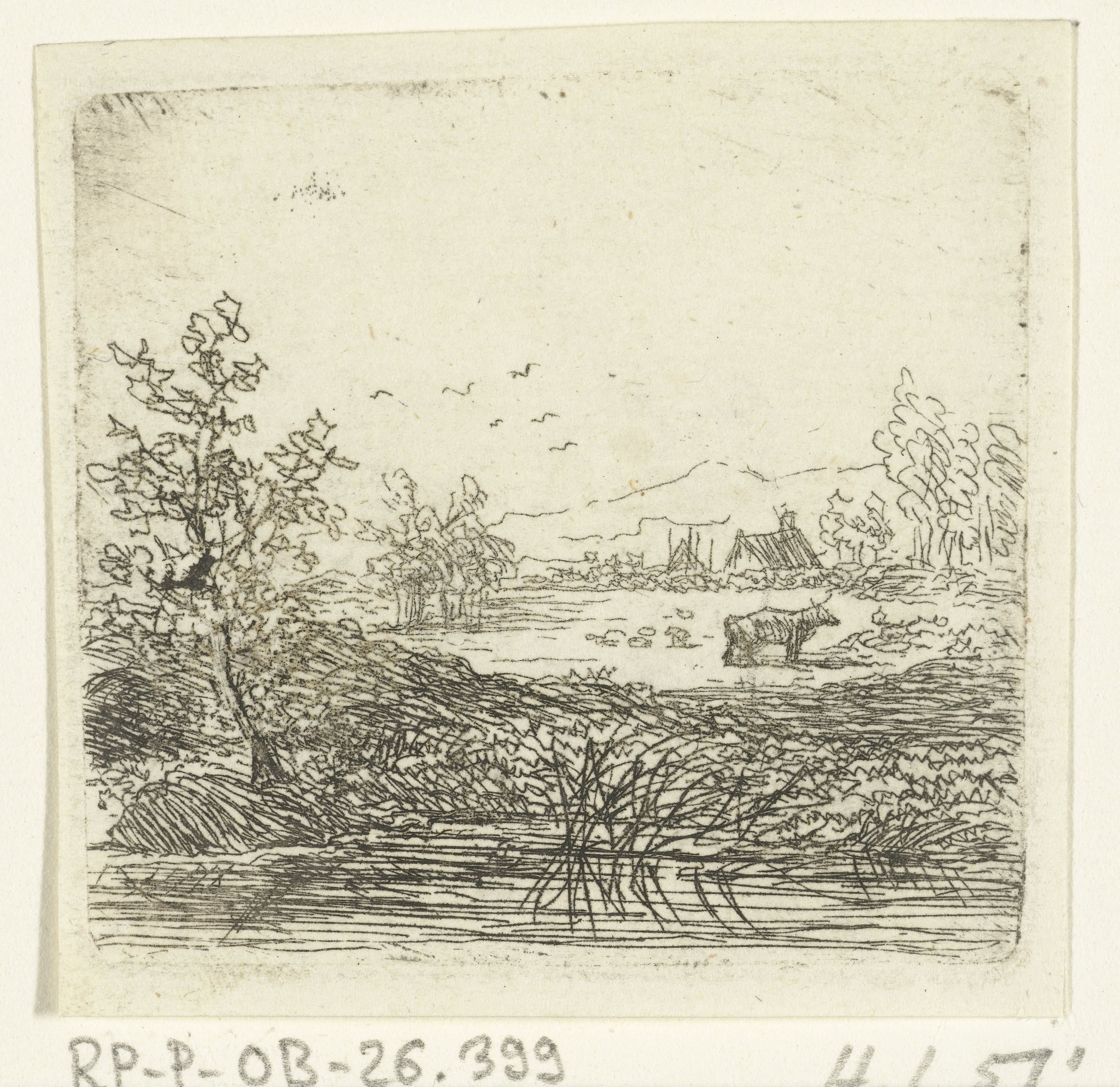 Waterlandschap met koe