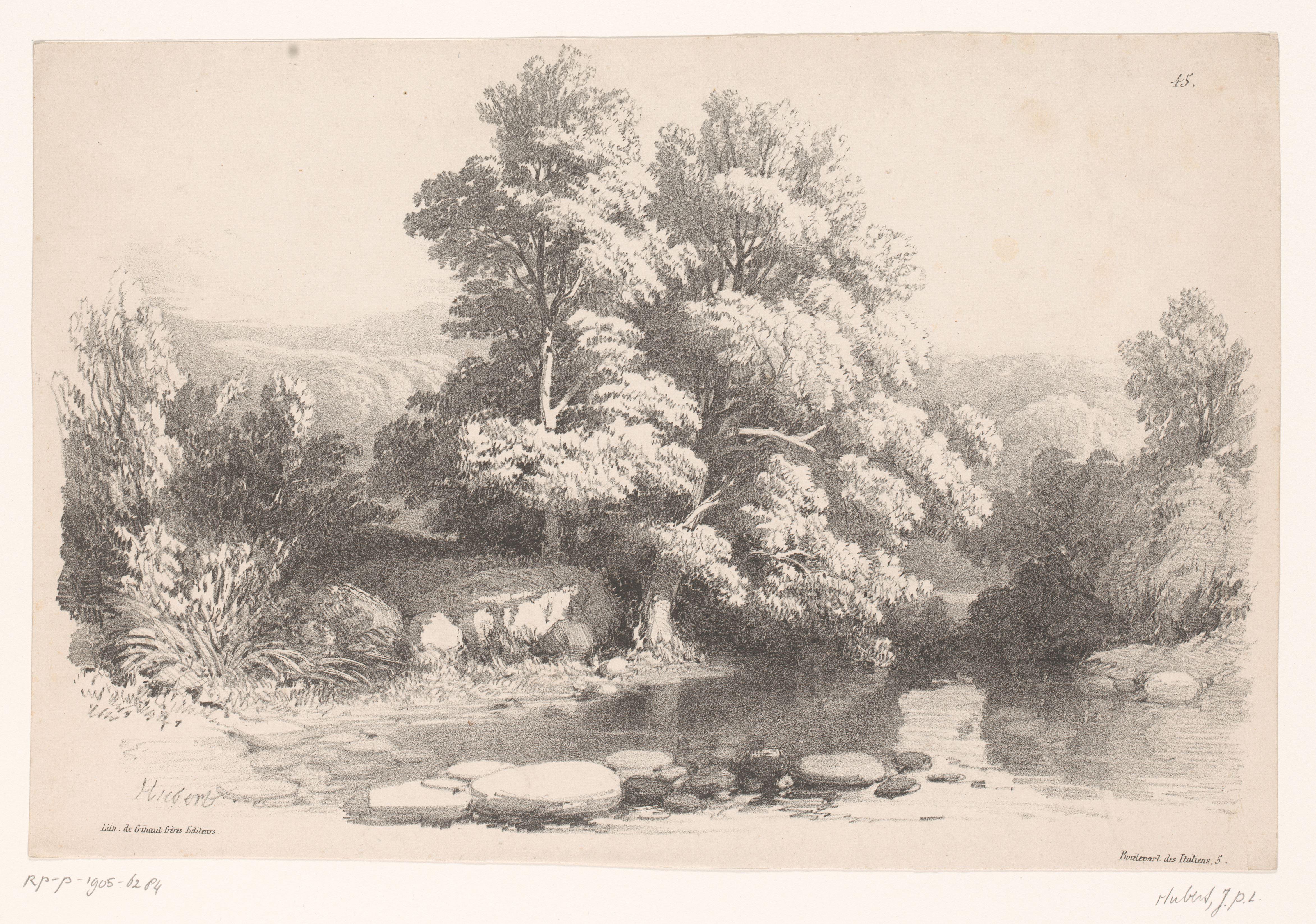 Berglandschap met bomen en vijver