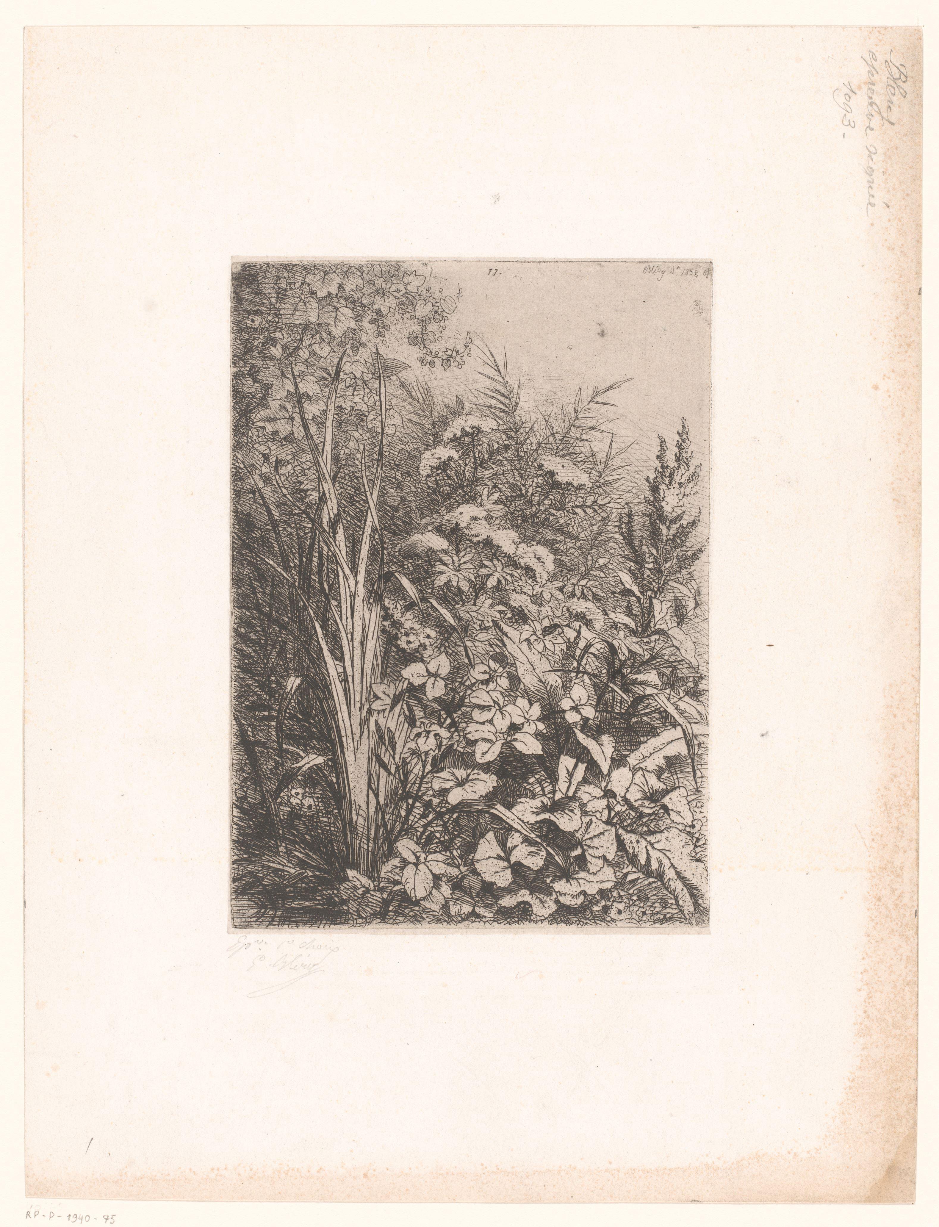 Planten