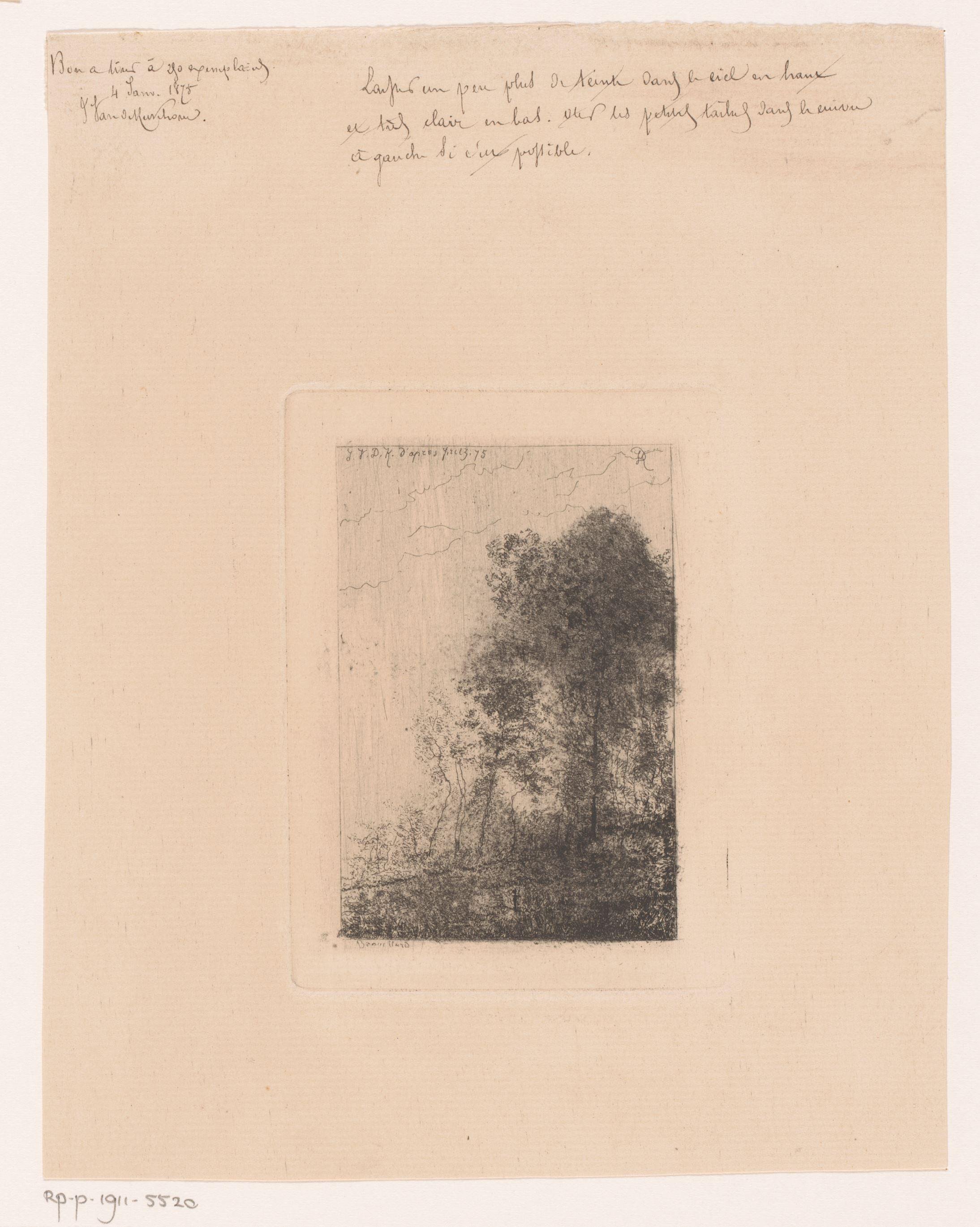 Boslandschap
