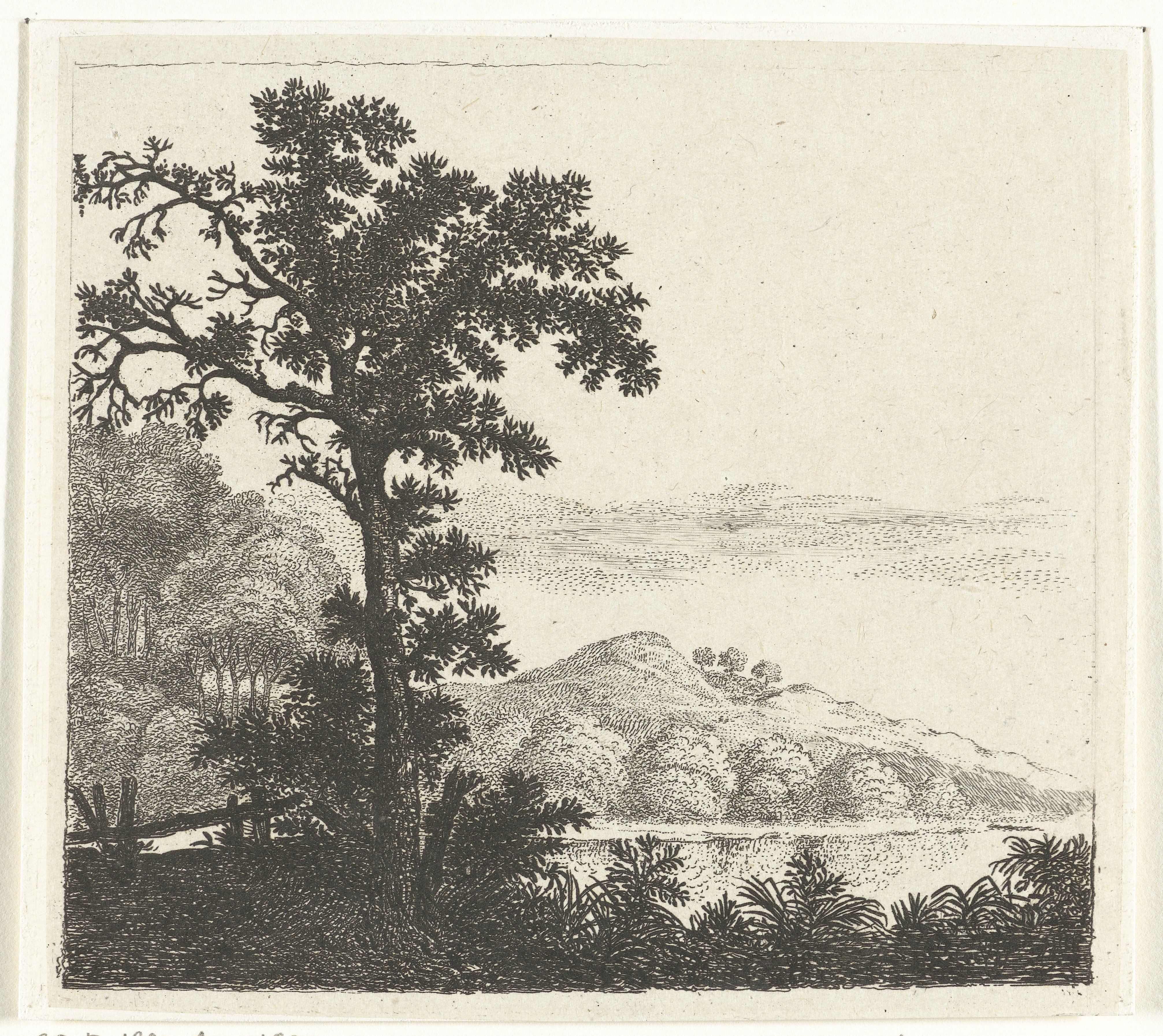Landschap met boom bij een rivieroever
