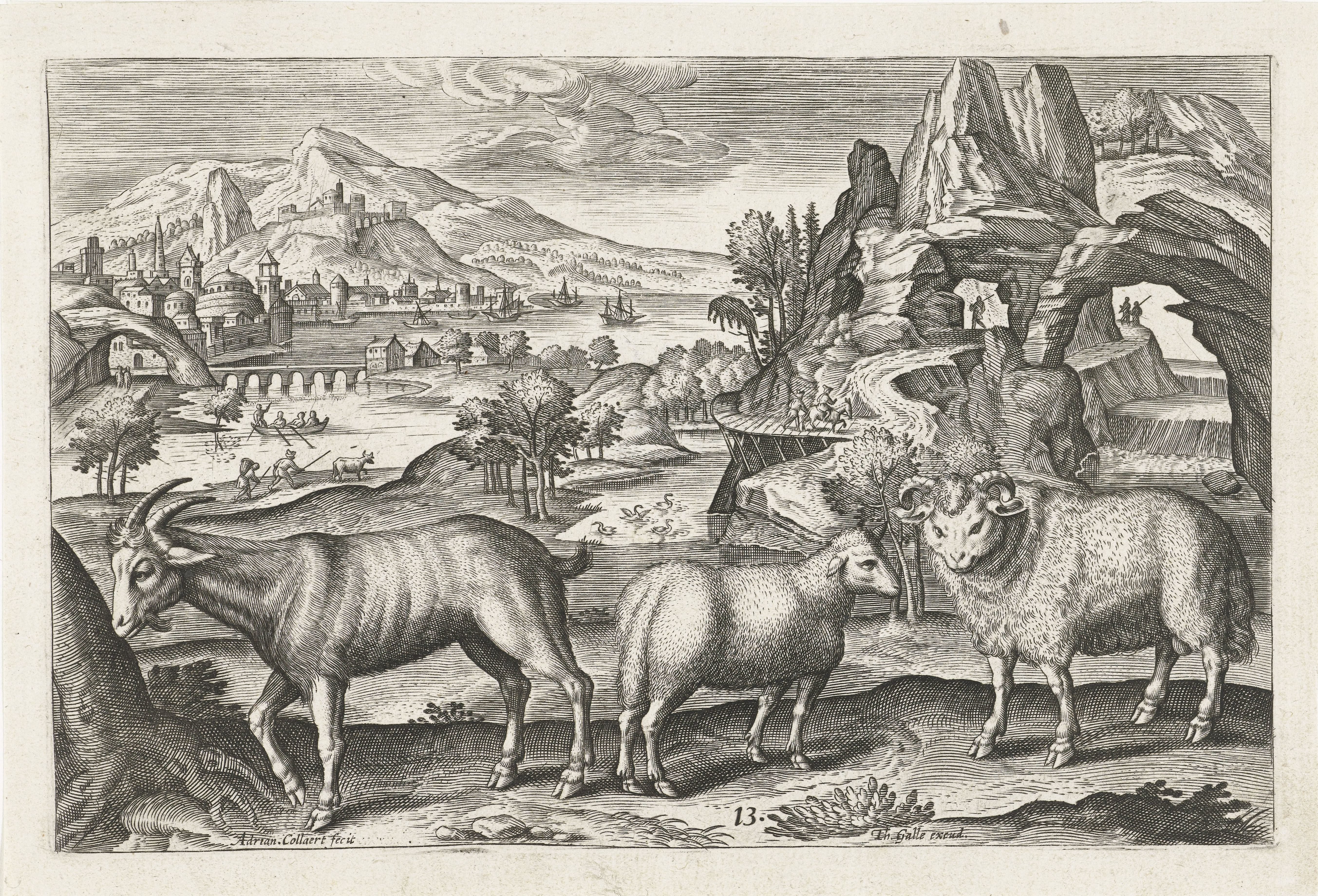 Bok en schapen