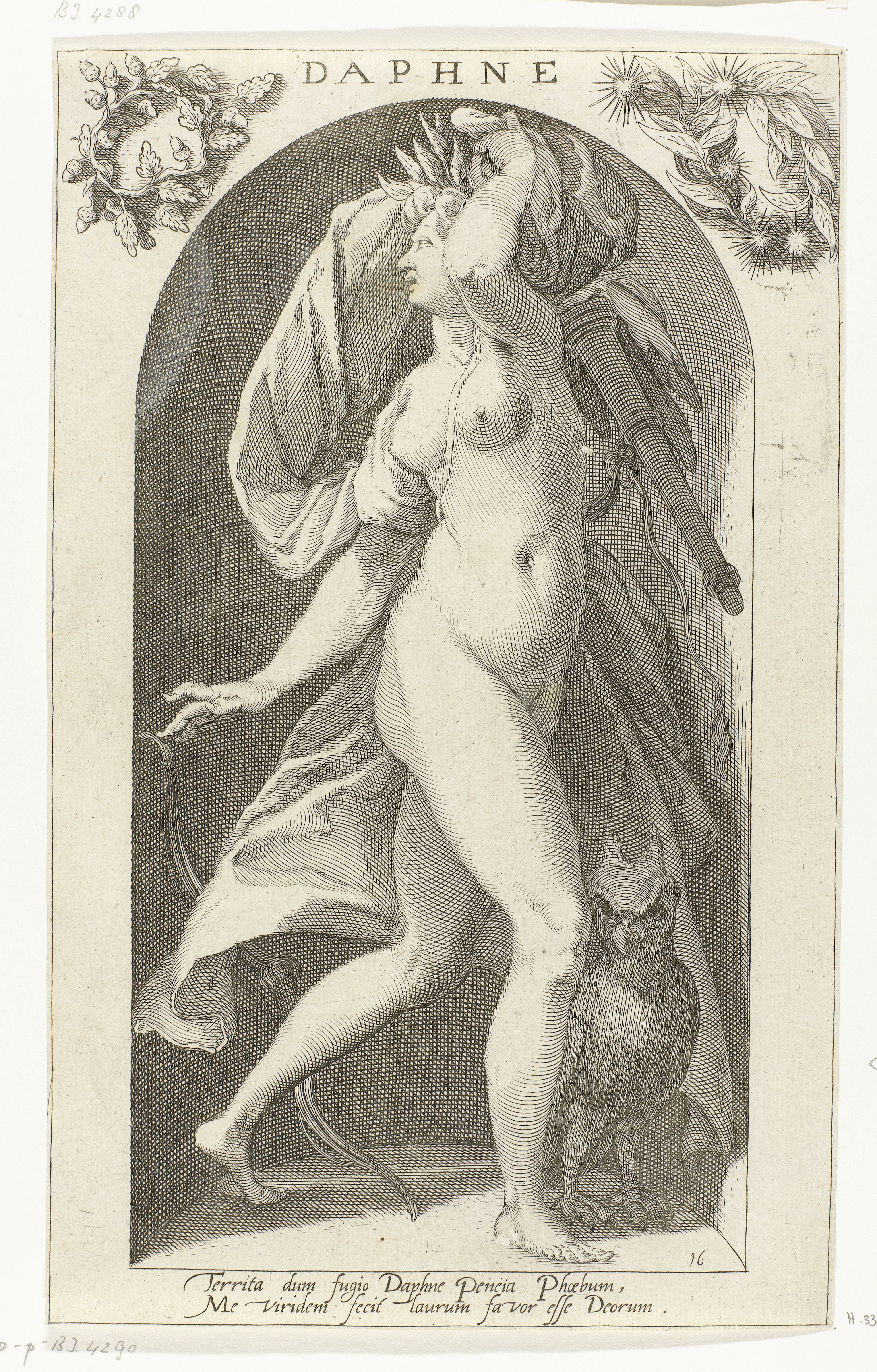 Daphne