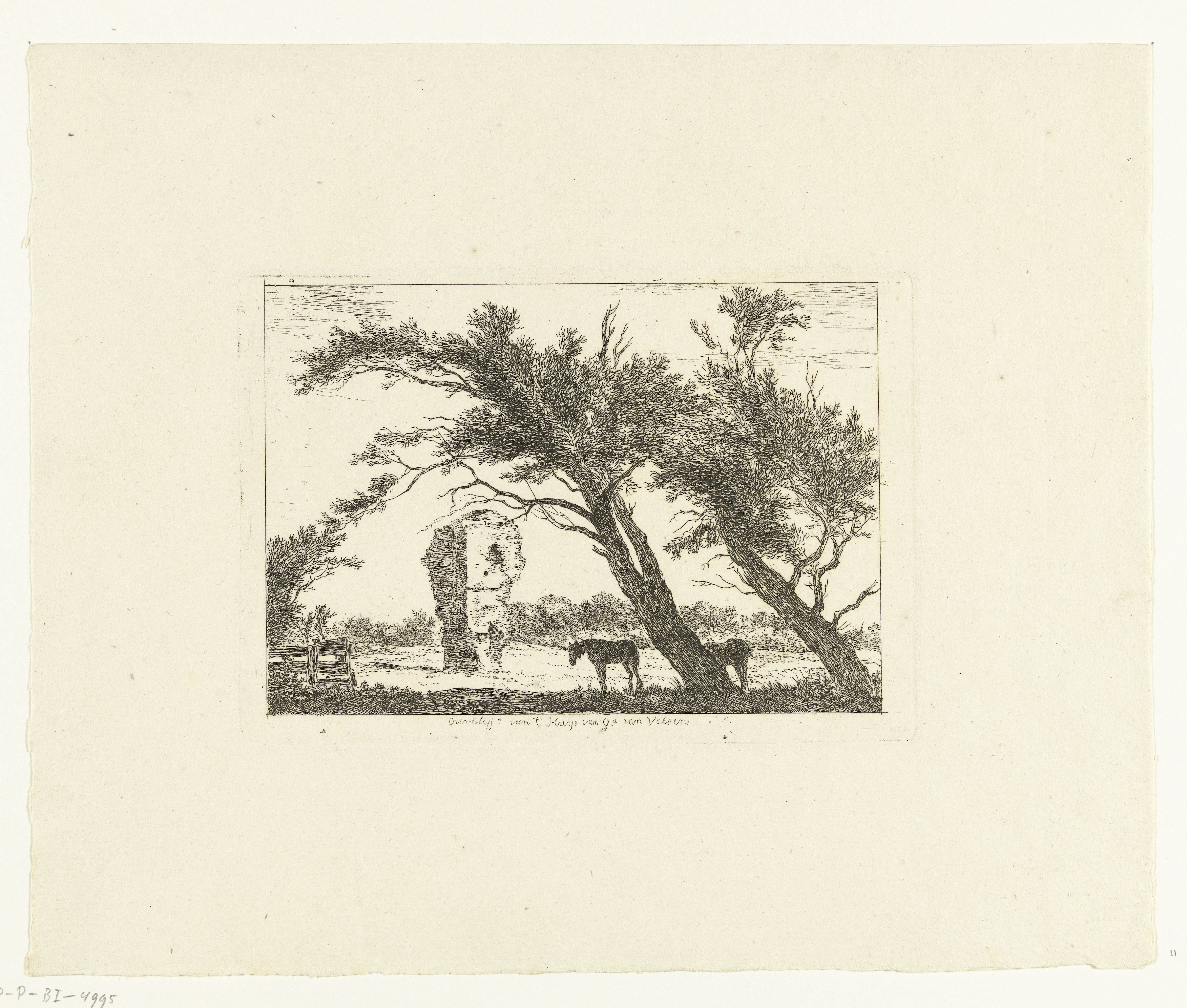 Overblijfselen van het huis van Gerard van Velsen