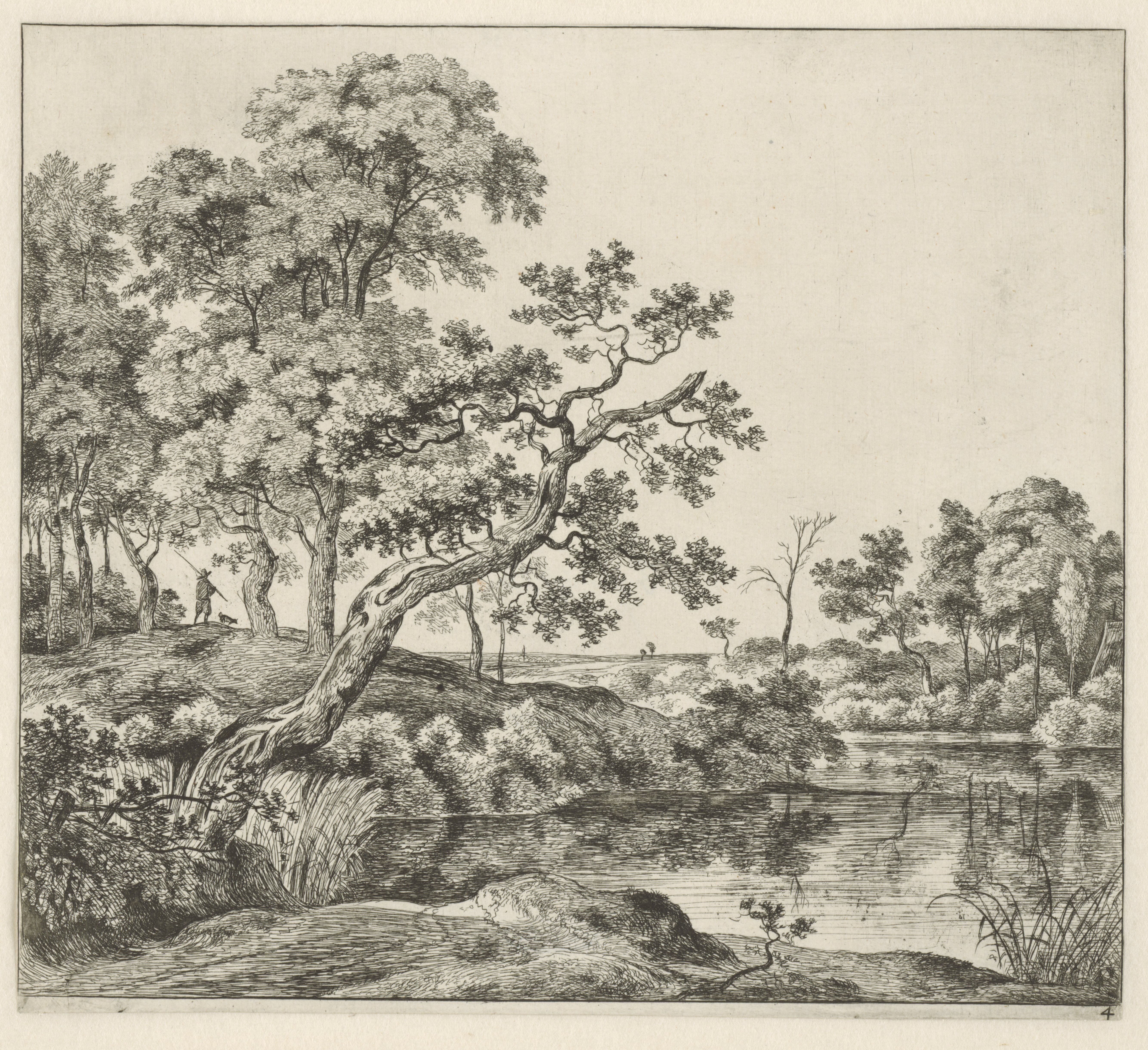 Landschap met een hangende boom aan het water