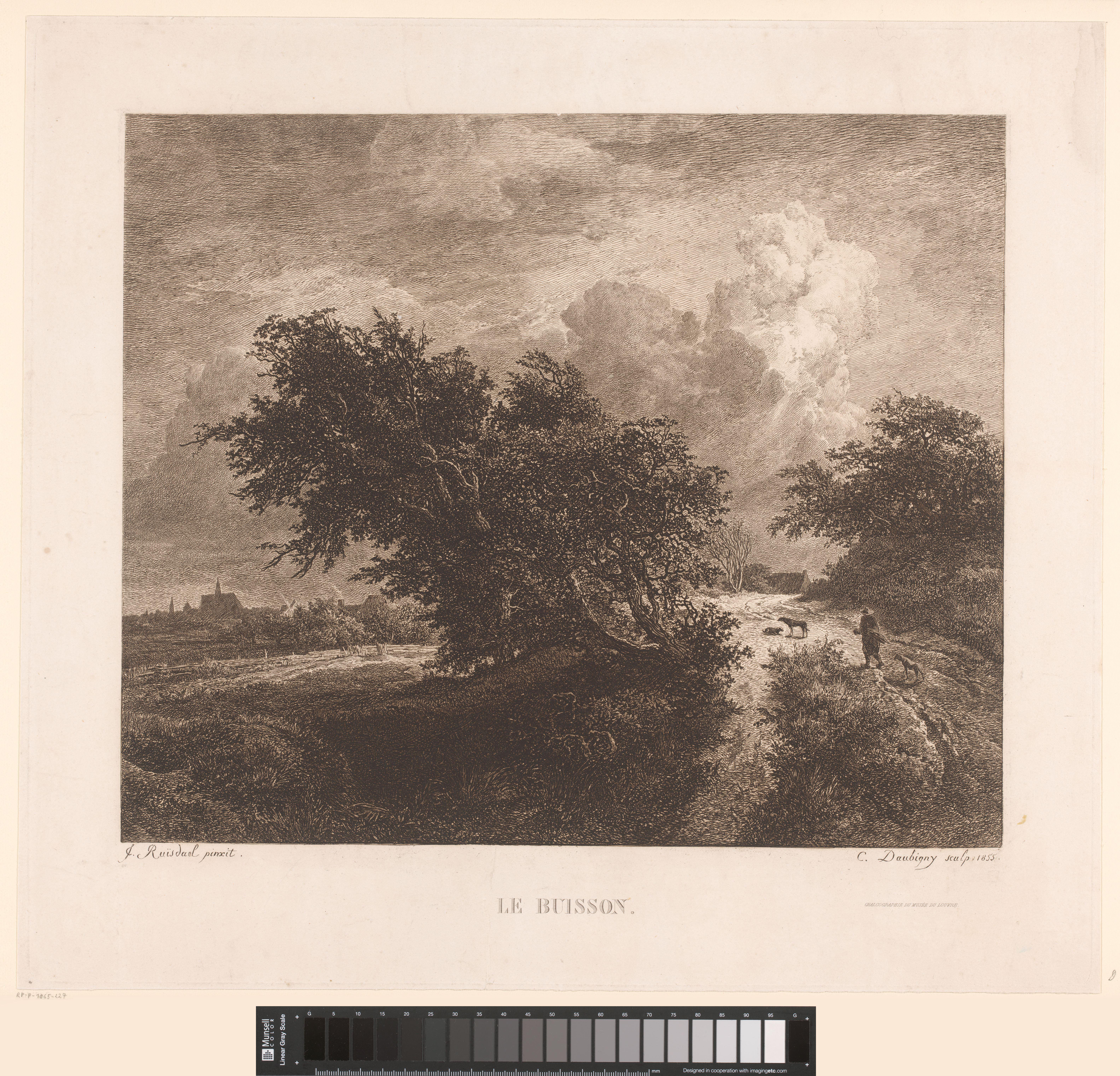 Landschap met grote struiken en wandelaar