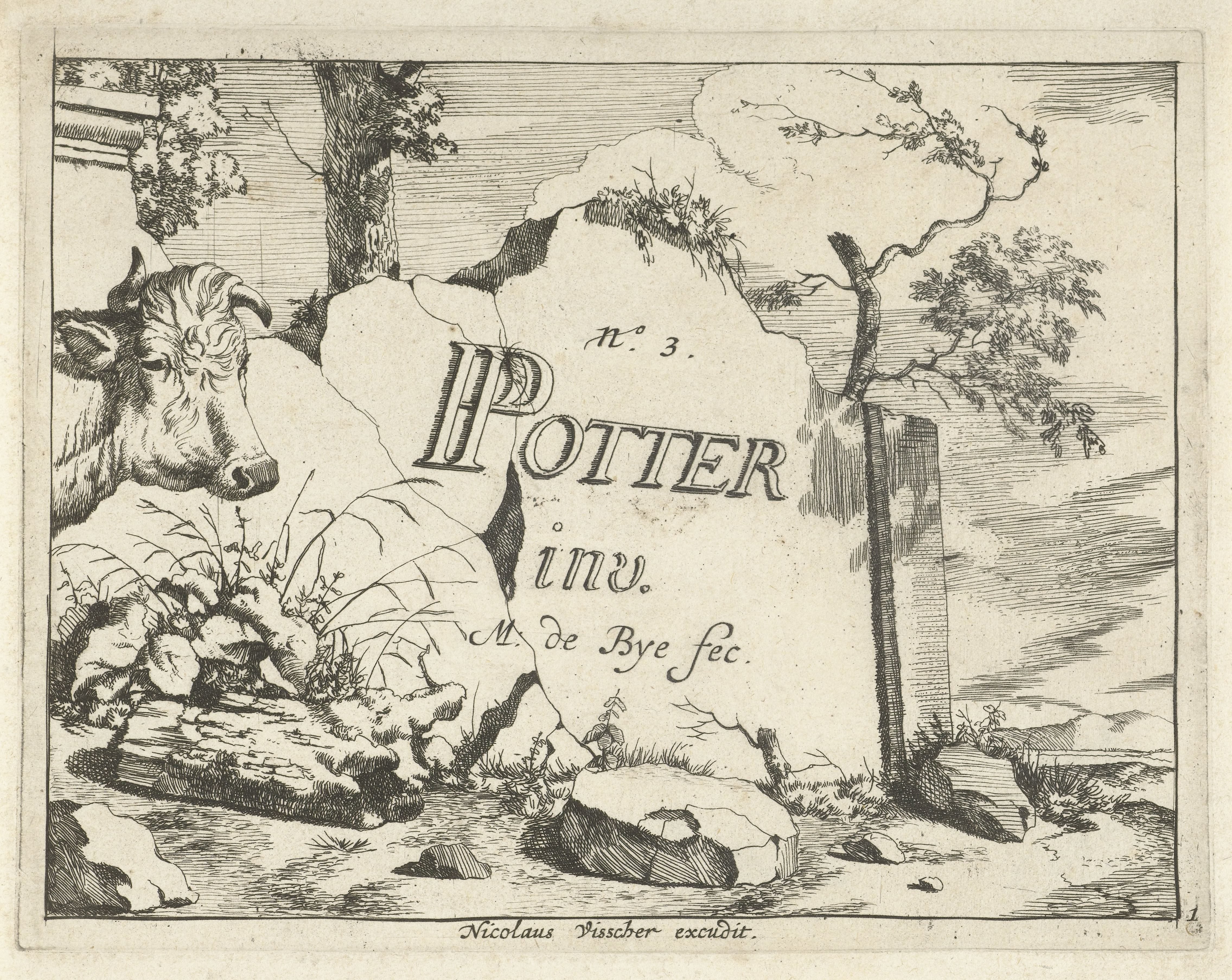 Kop van rund