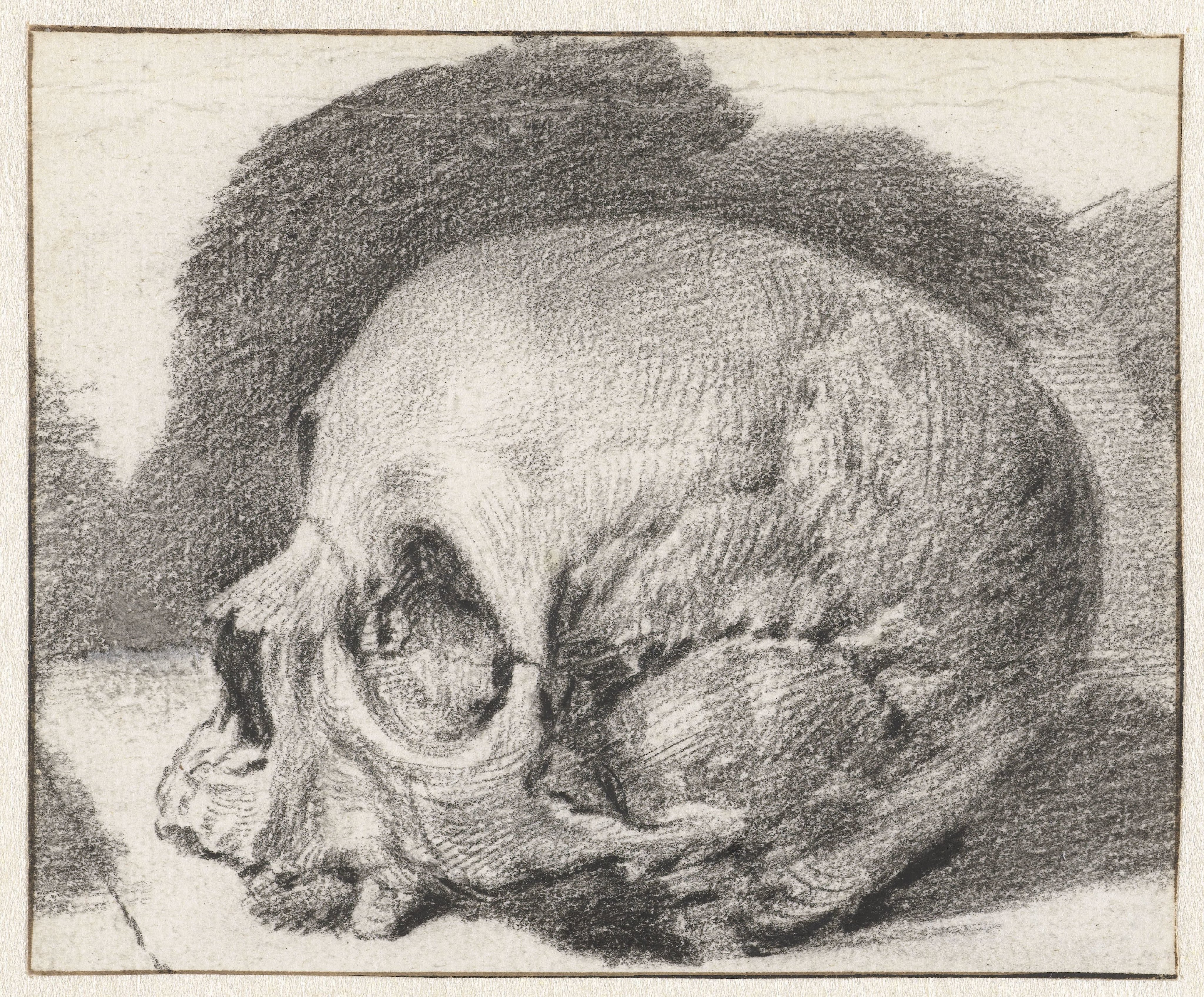 Study of a Skull, Facing Left