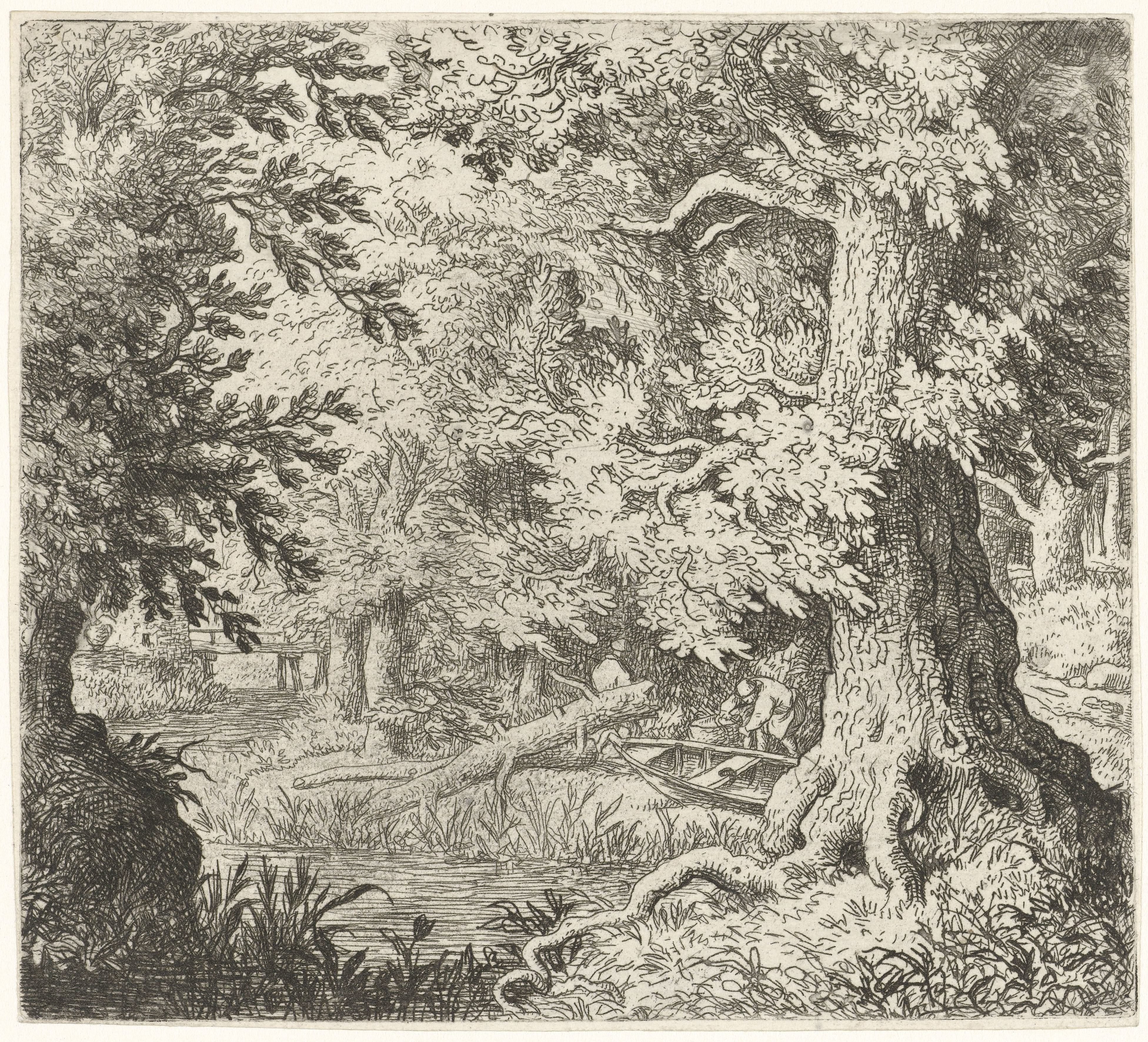 Beekje in het bos