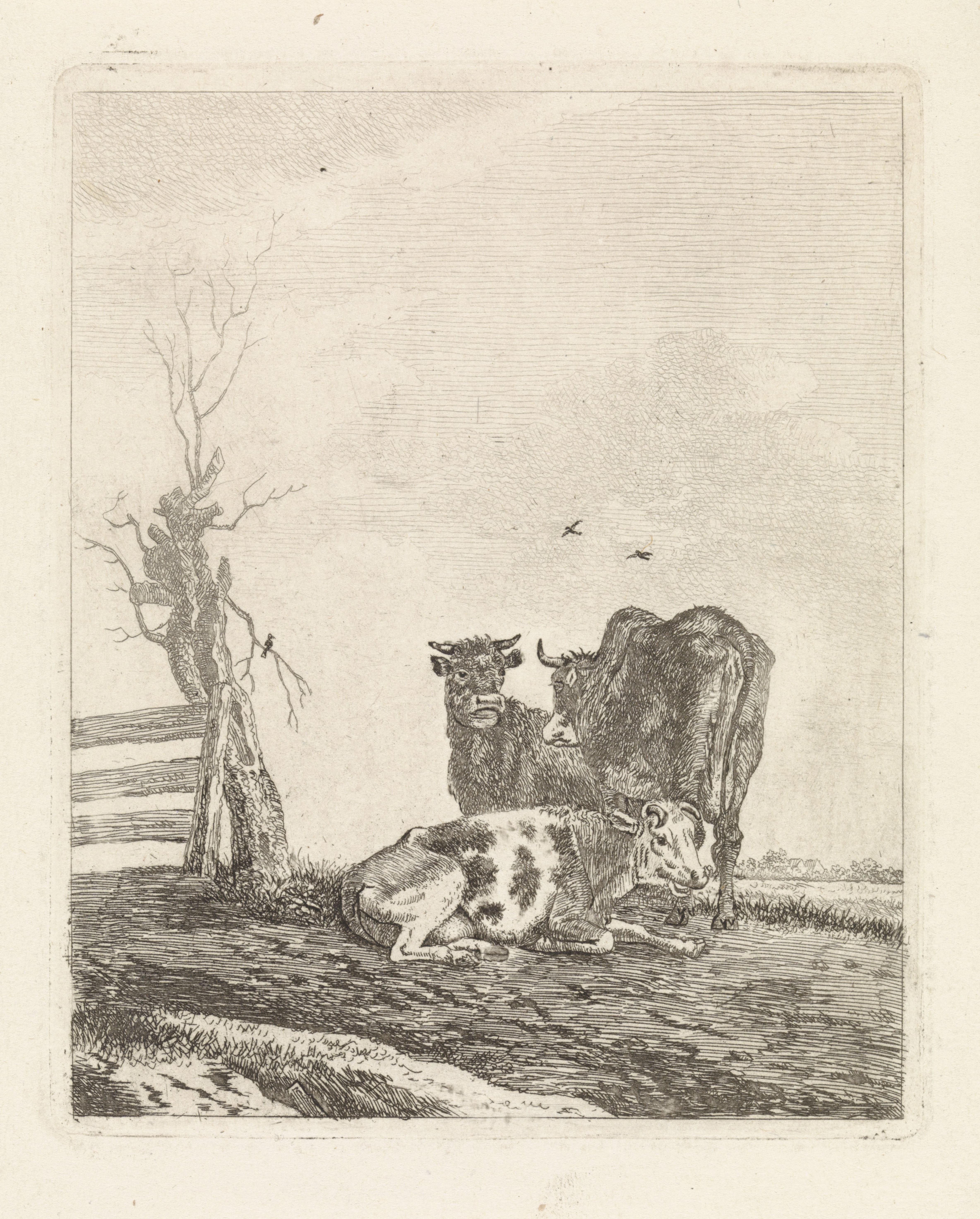 Landschap met drie koeien