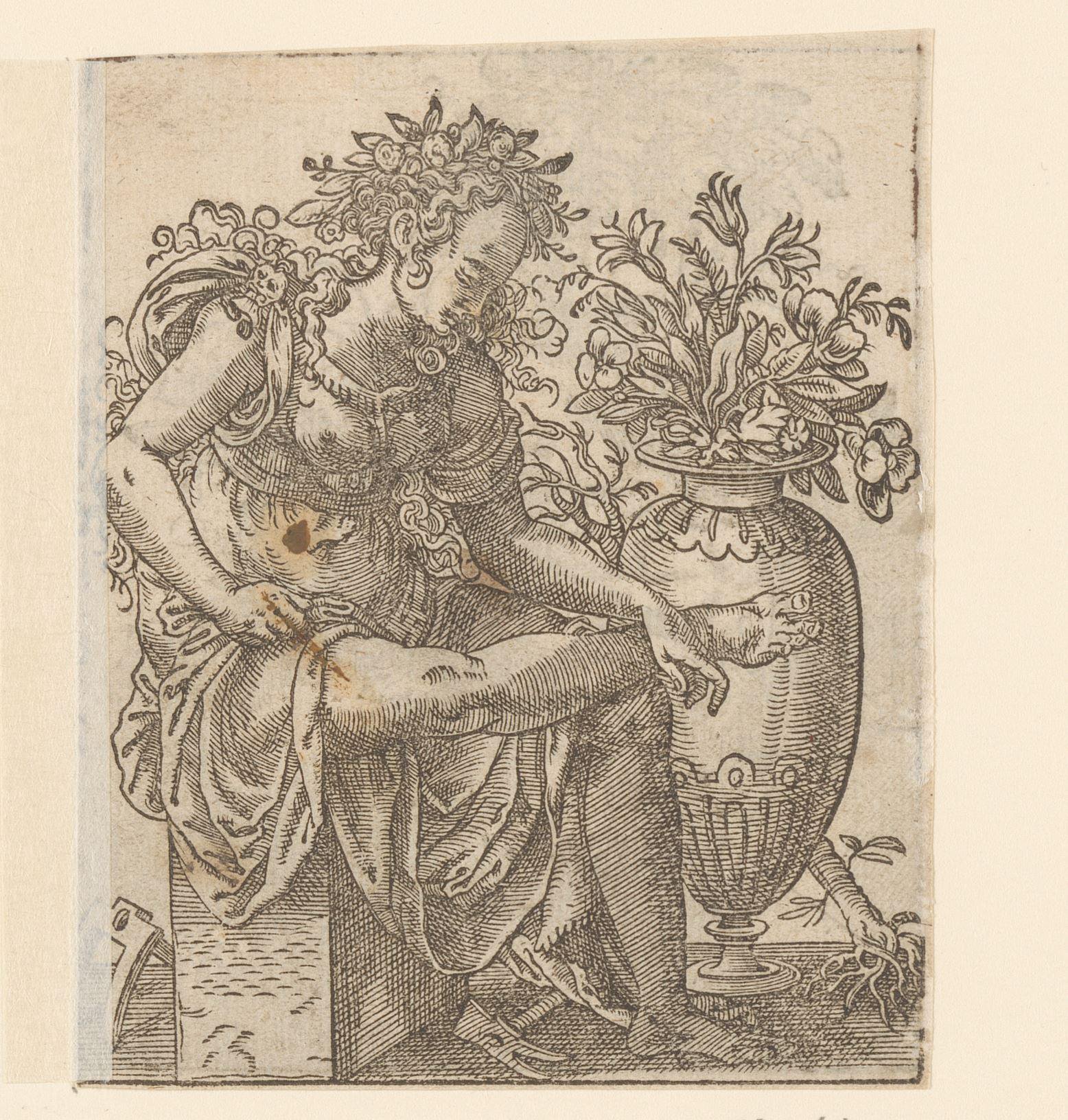 Flora