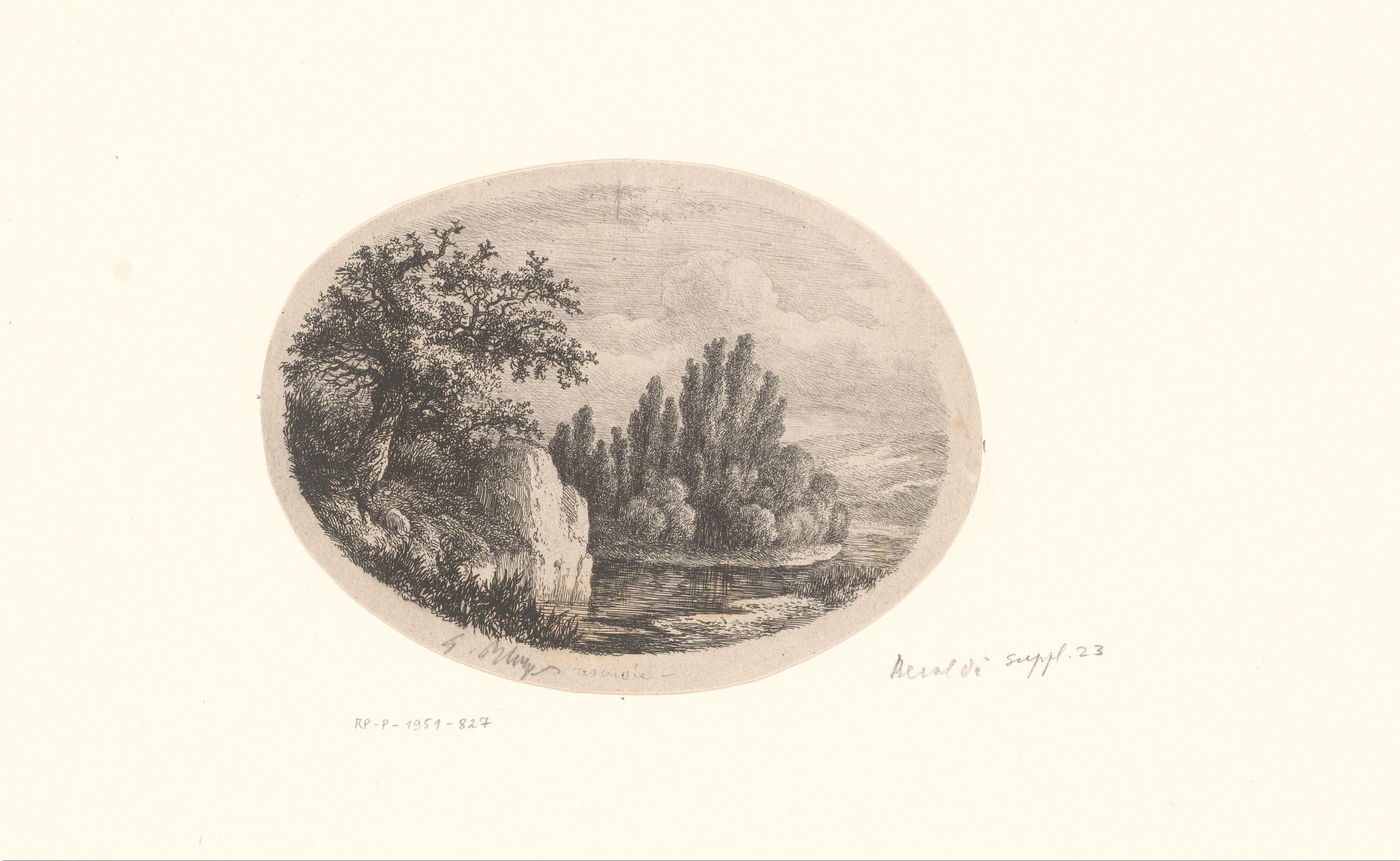 Rotsachtig landschap met rivier
