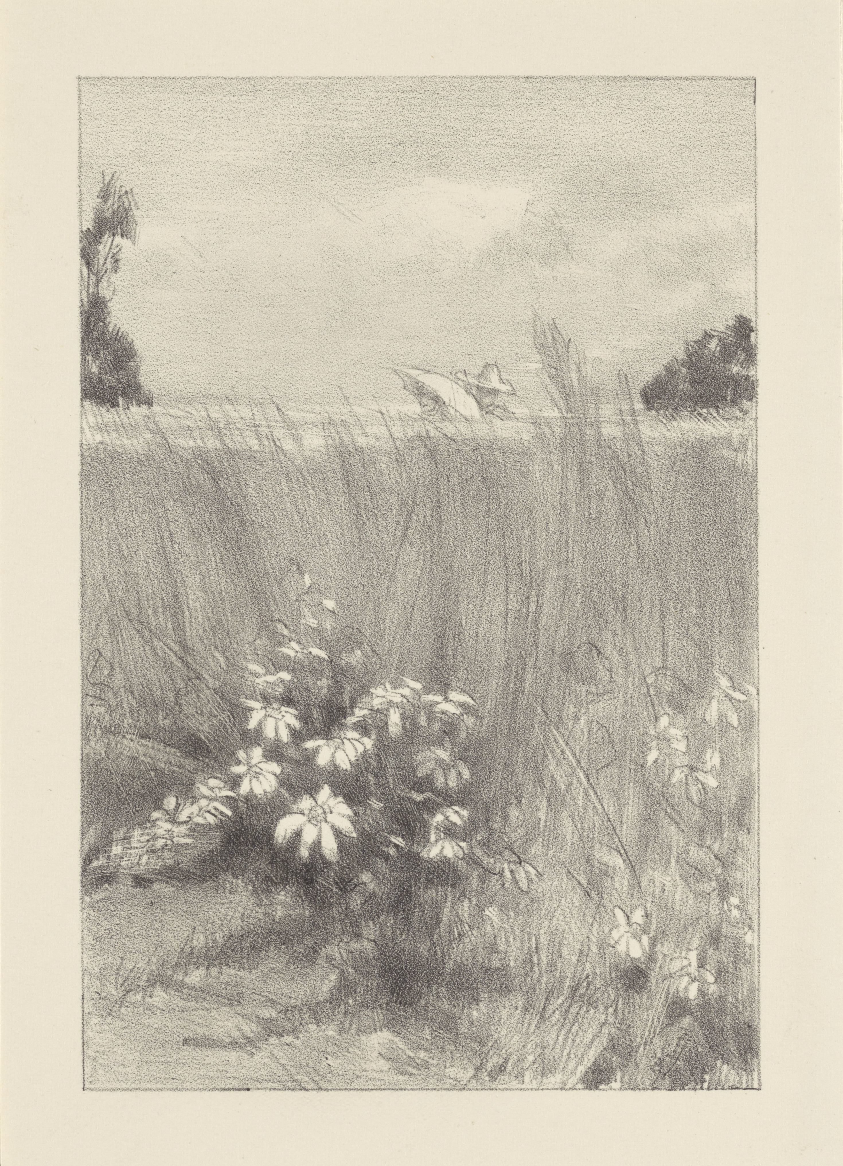Korenveld bij Rome