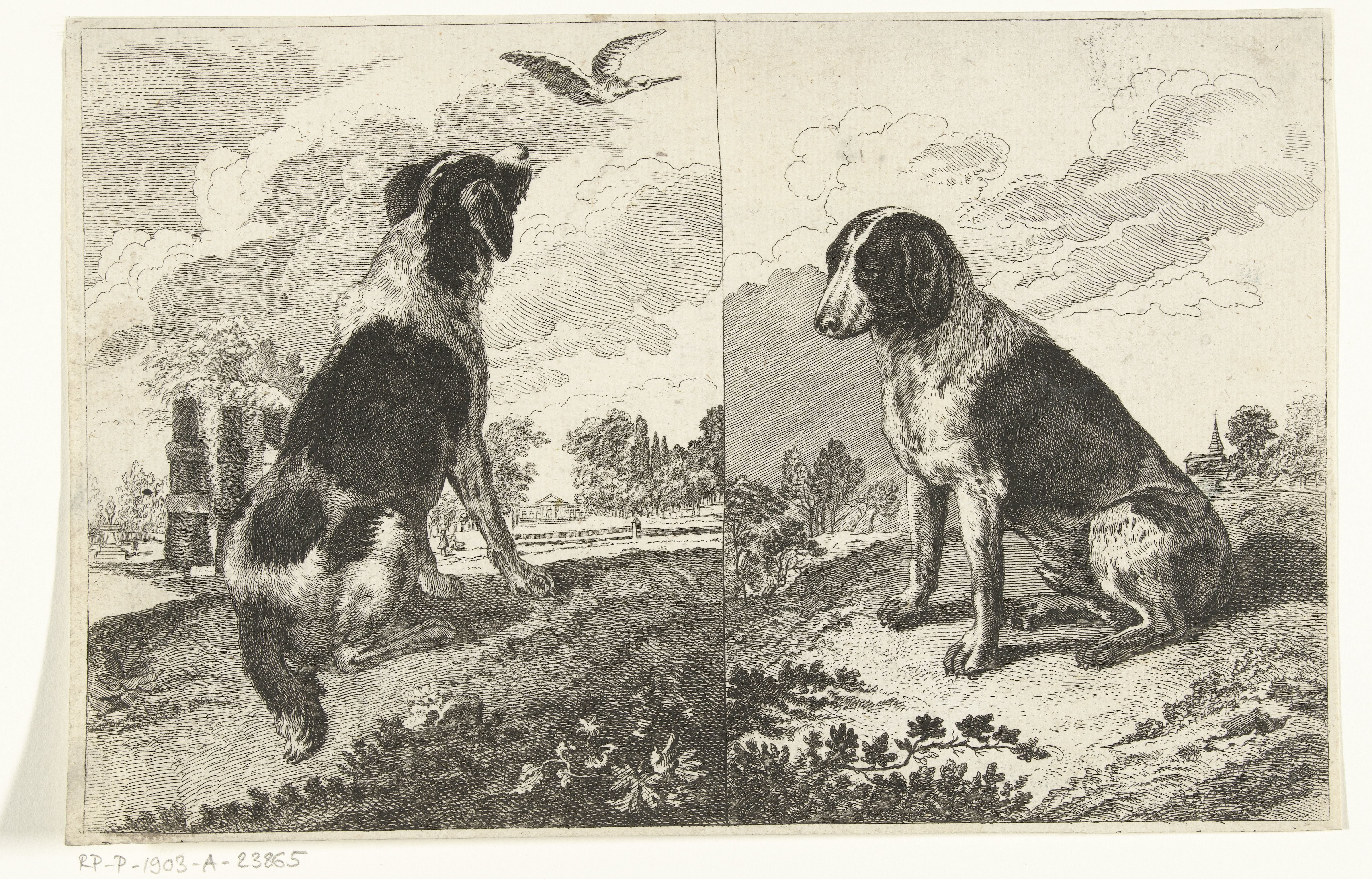 Twee zittende honden